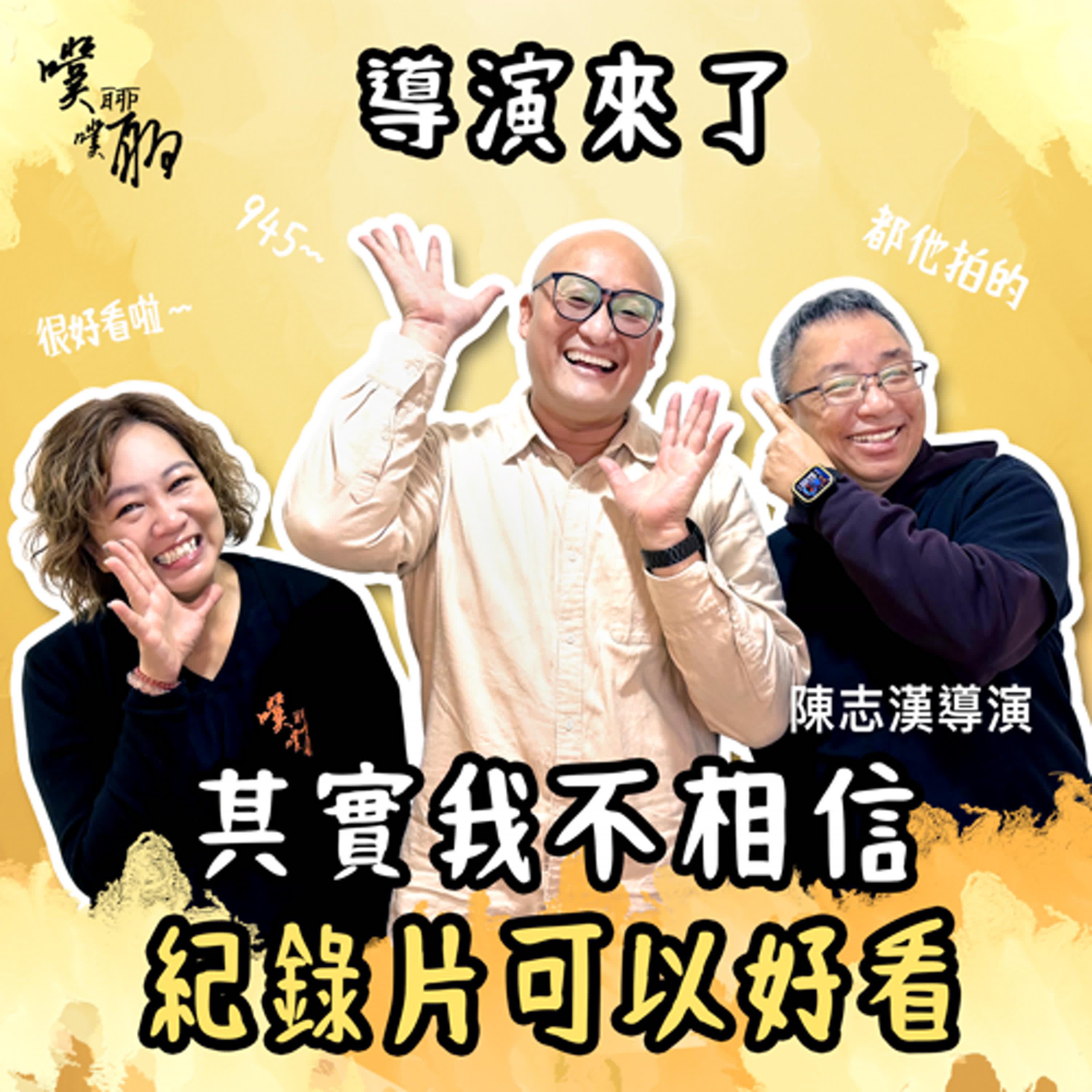 導演來了：其實我不相信紀錄片可以好看 episode artwork