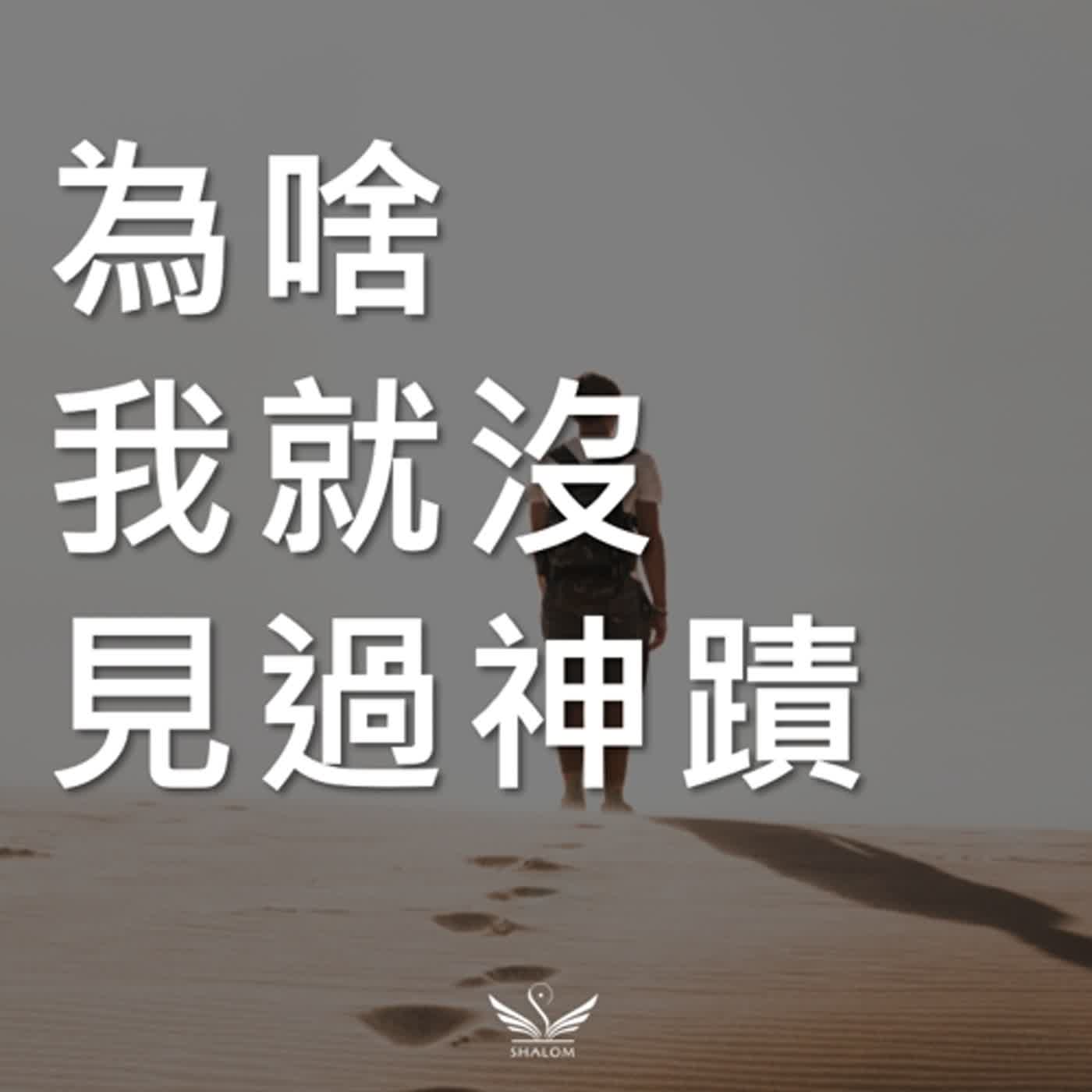 奇蹟何時才能臨到我...《耶穌的35件神蹟》EP03:大臣之子得醫治 | SHALOM聽本書 #約翰福音四章