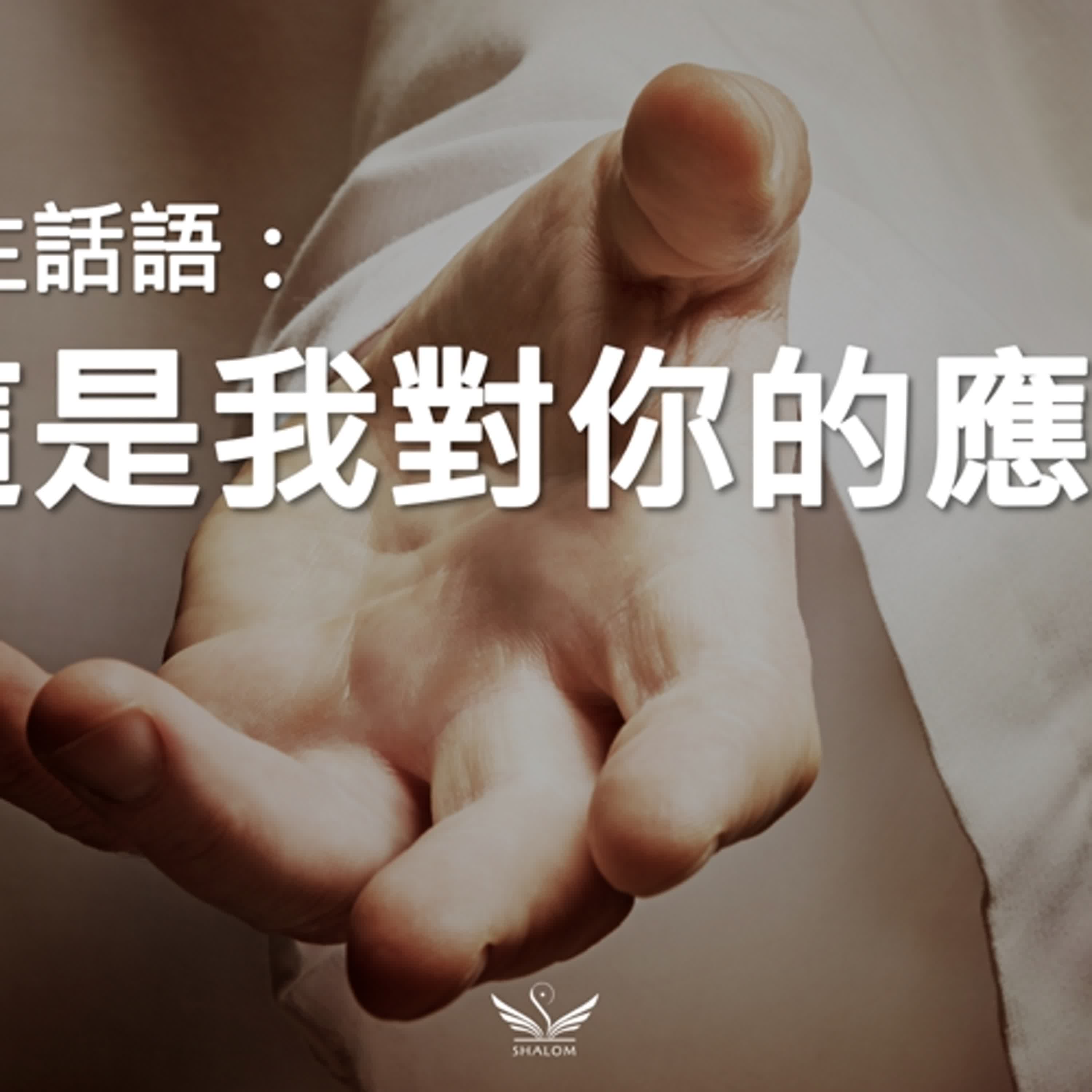 這是我對你的應許 | 創造主話語