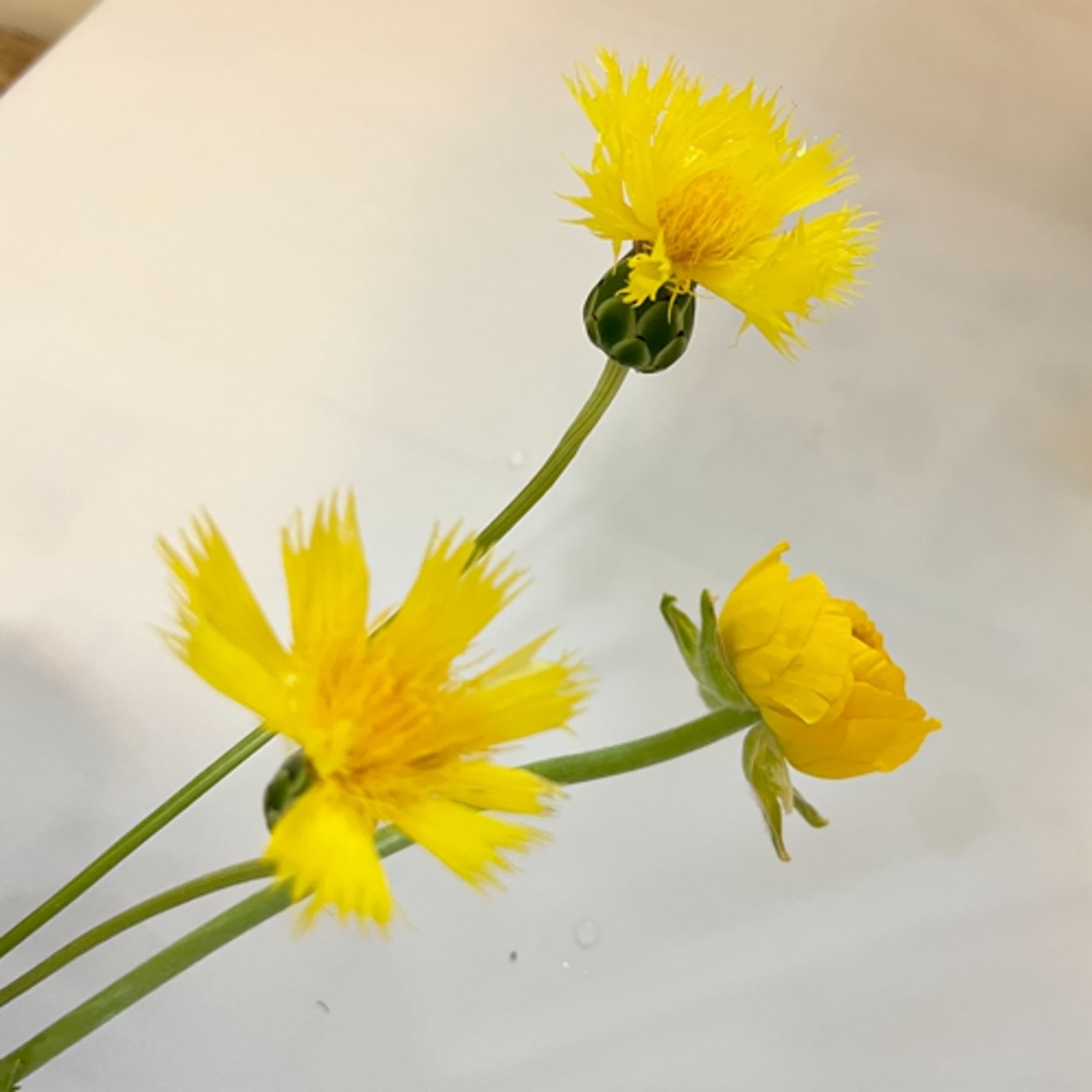 生活中醫，說給你聽