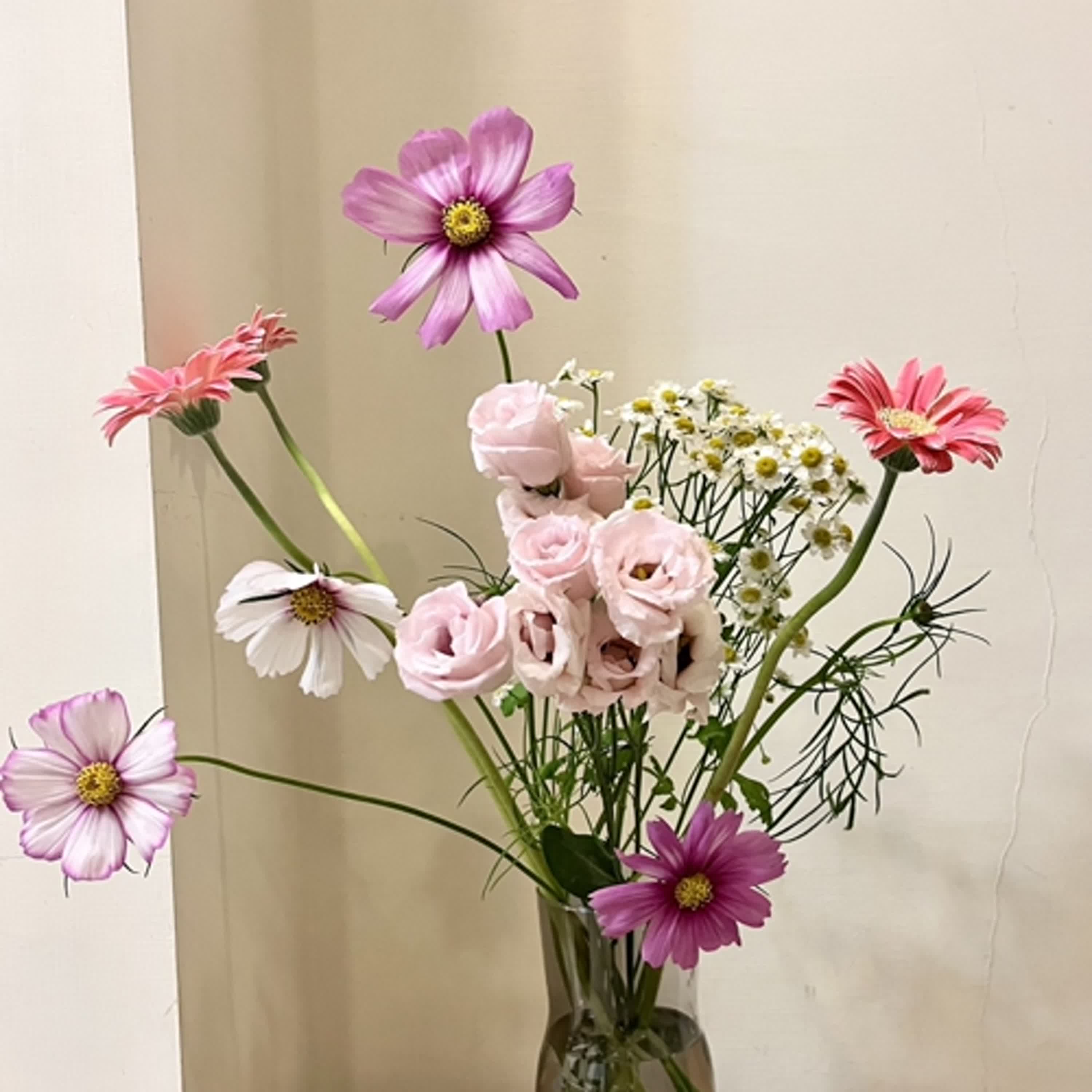 生活中醫，說給你聽