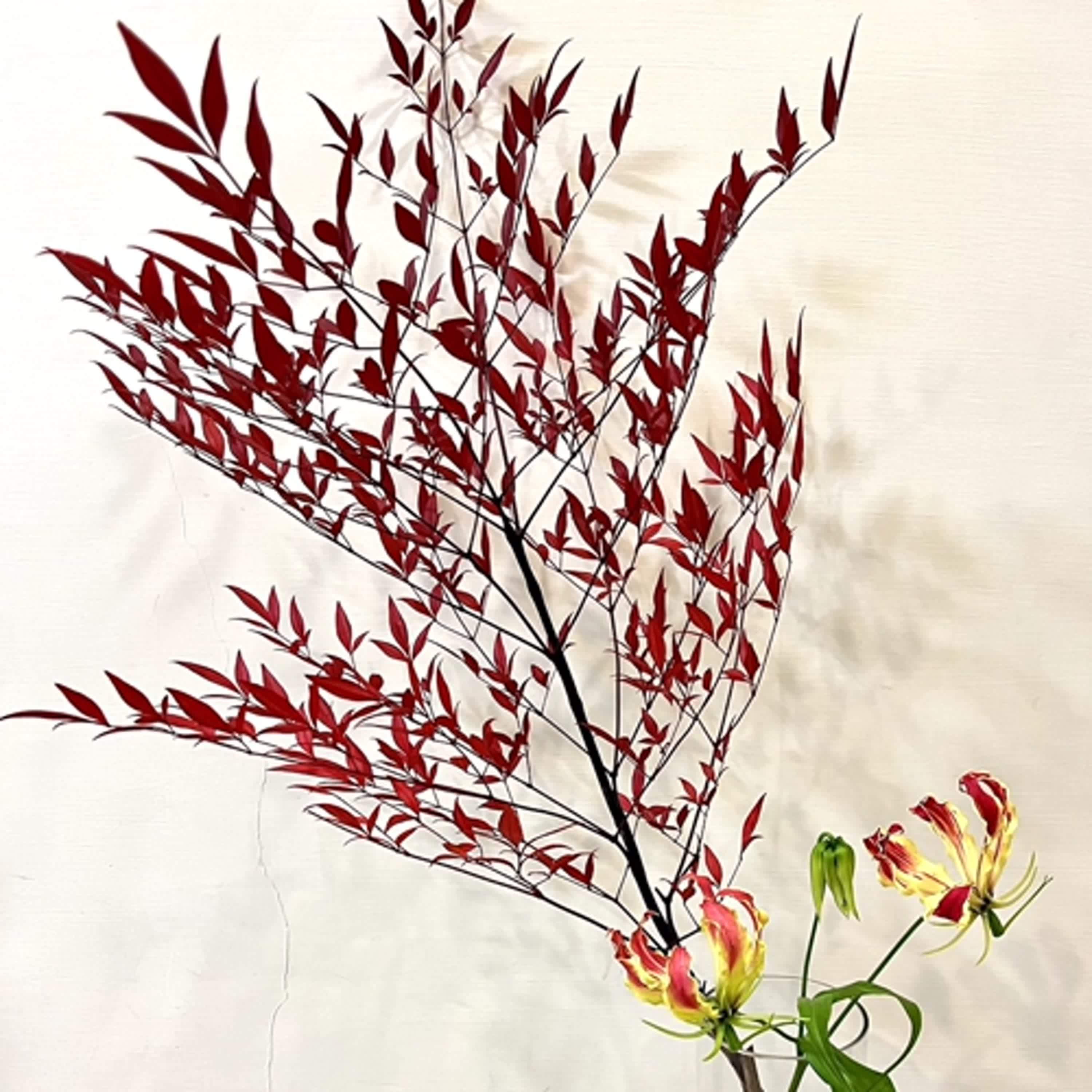 生活中醫，說給你聽