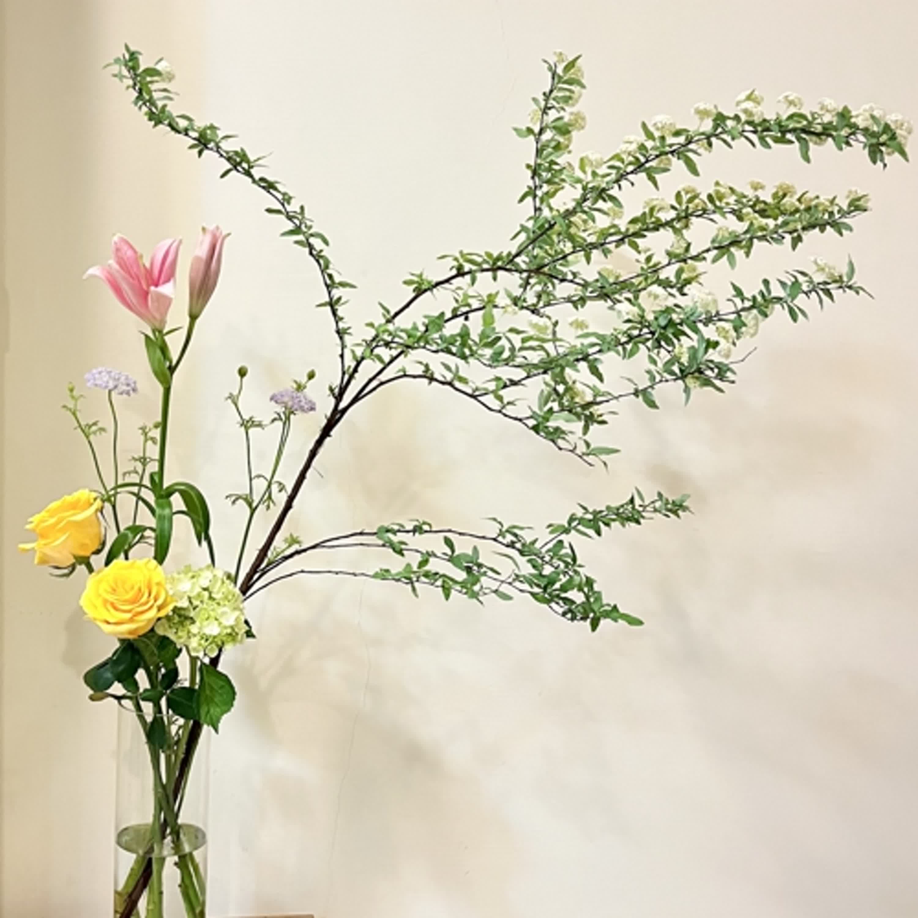 生活中醫，說給你聽