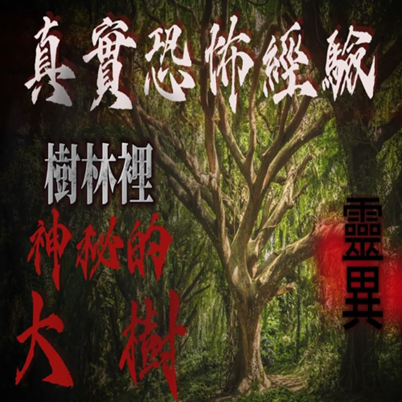 cover of episode 『真實的恐怖故事』親身經歷#57 恐怖故事 樹林裡的一棵大樹擁有神秘的力量！據說向它求的事會成真！