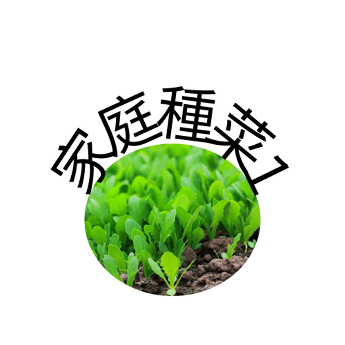 家庭種菜1