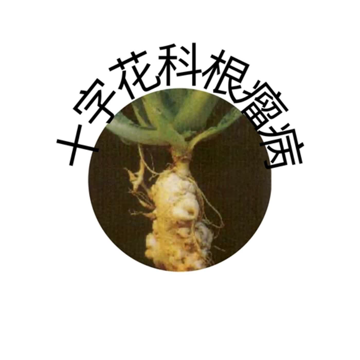 十字花科根瘤病防治 十字花科根瘤病防治