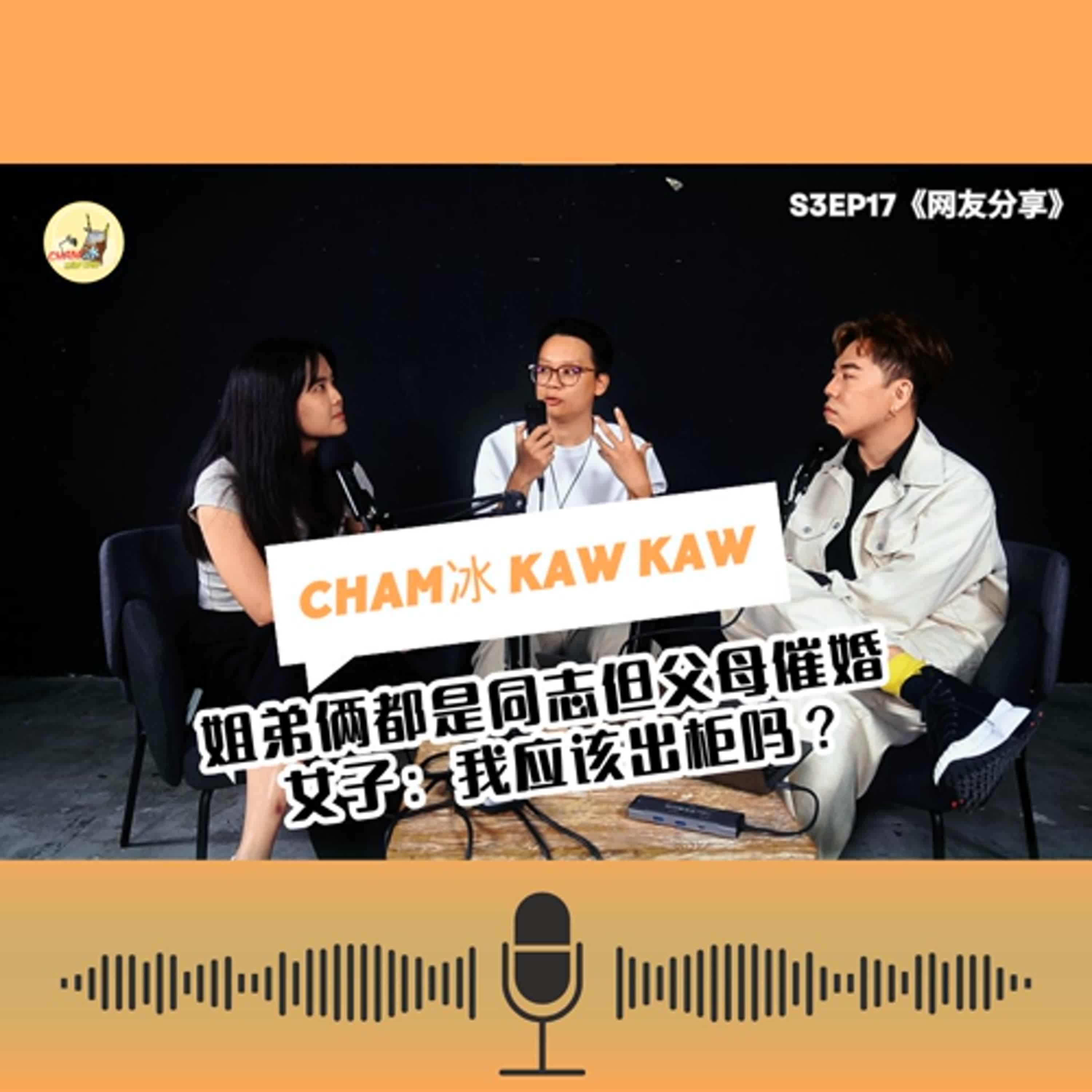 S3E17： 【网友分享】姐弟俩都是同志 还被爸妈催婚！要出柜还是“单身”一辈子？