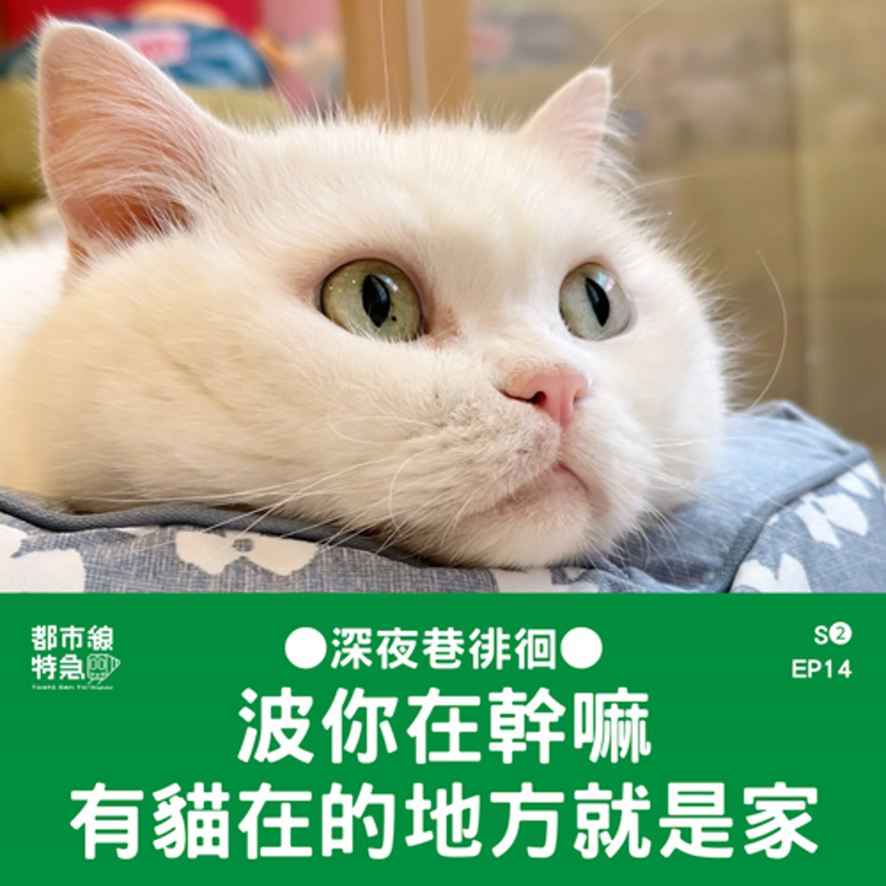 S❷EP14〖深夜巷徘徊〗有毛孩在的地方就是家！貓奴人生：擼貓、就醫、寵物溝通，我們要一起變老 ft.波媽 episode artwork