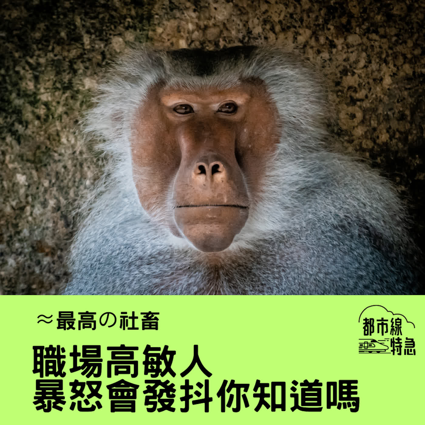 S➂EPO5▶最高の社畜▶職場高敏人最怕內耗?軟心肝上班族只求問心無愧 ft. 小鳥茵 S➂EPO5▶最高の社畜▶職場高敏人最怕內耗?軟心肝上班族只求問心無愧 ft. 小鳥茵