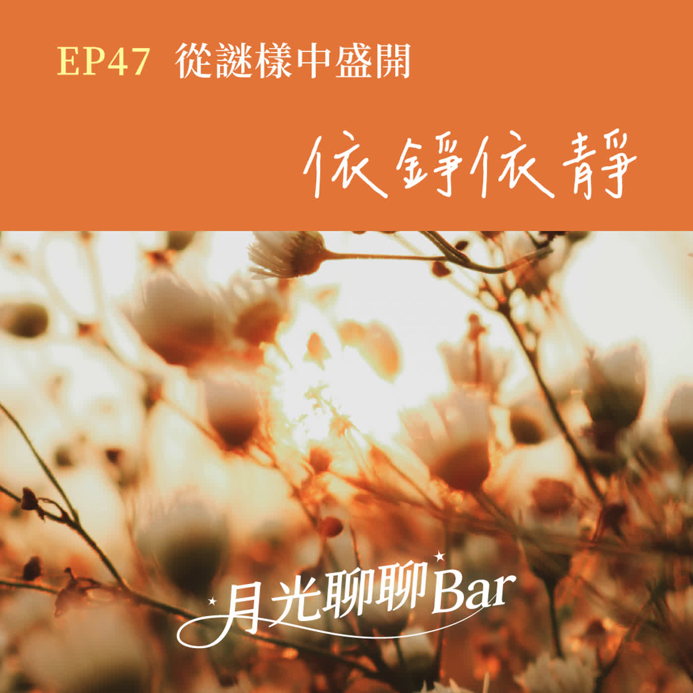 月光聊聊BAR EP47 從謎樣中盛開 -【依錚依靜】
