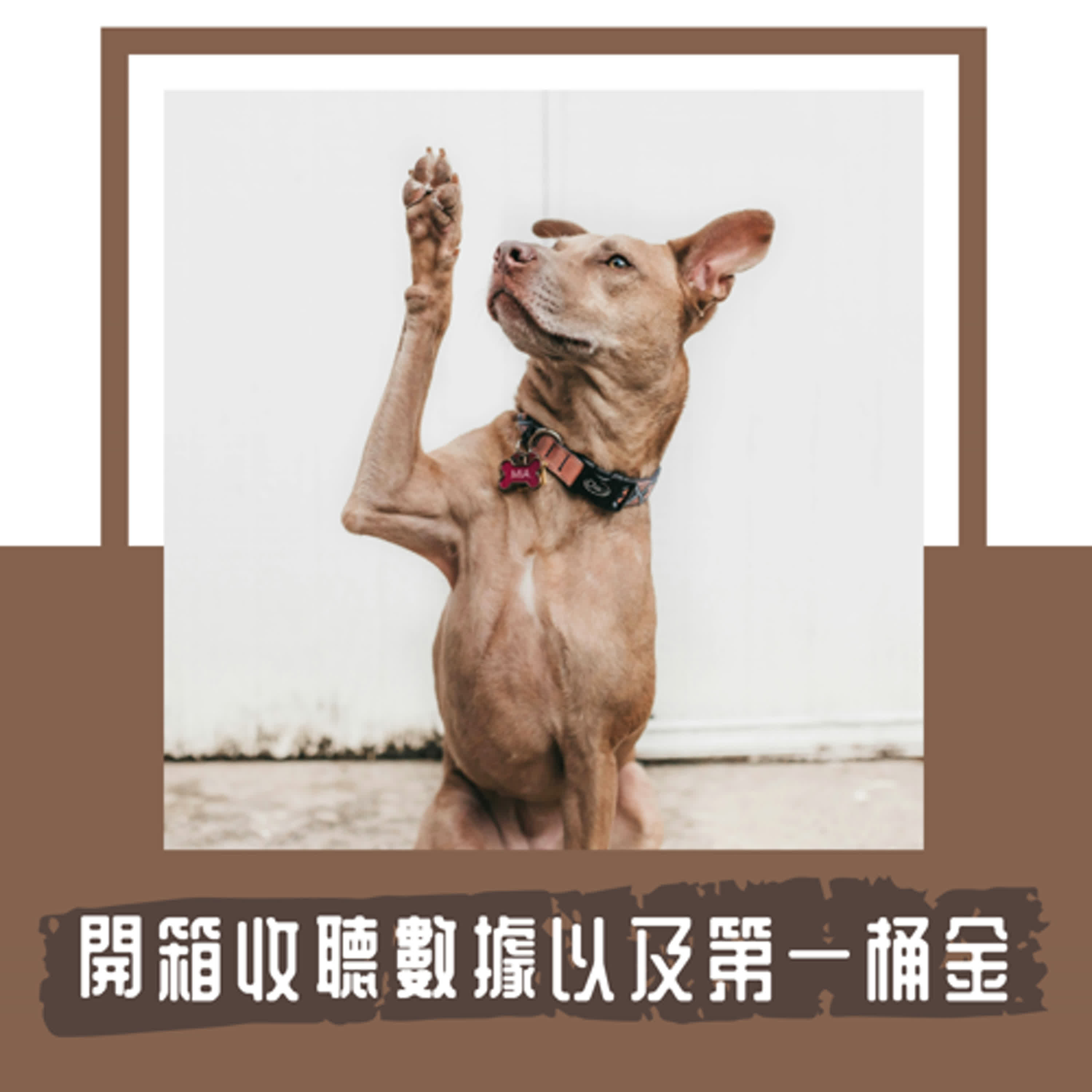 Ep. 100｜無心插柳的 Podcast 已經走到 100 集｜開箱節目的收聽數據以及第一桶金、我如何培養閱讀？如何選書？