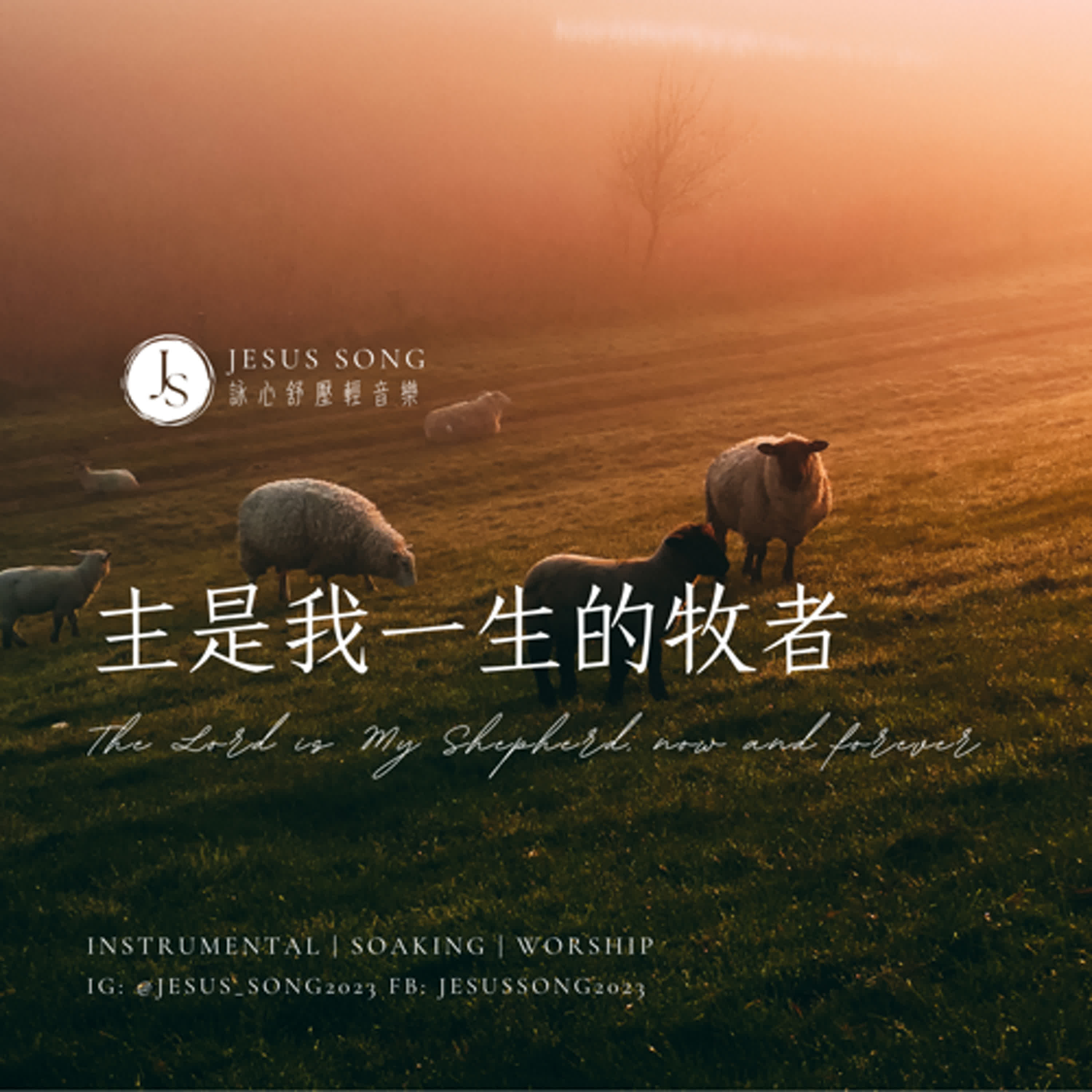  溫柔舒壓療癒音樂