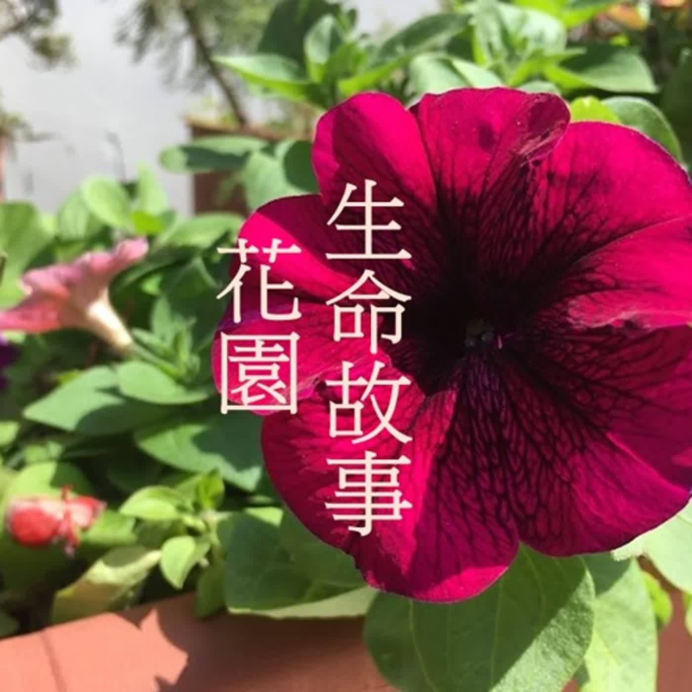 [生命故事花園]系列：從家族、自己到社區，傳遞故事的人--專訪度昀奇