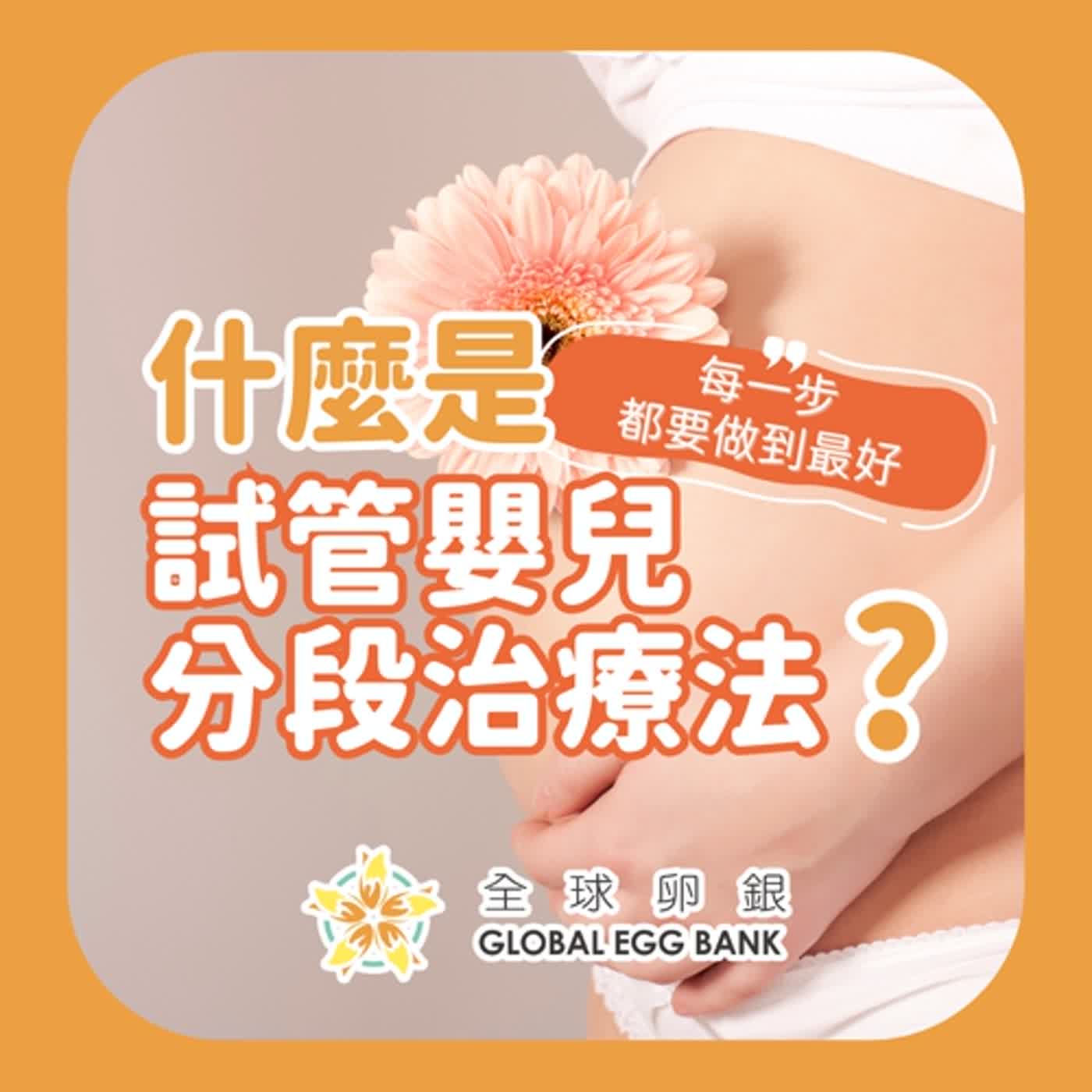 【好孕智多星Dr.IVF】試管嬰兒分段治療，讓每一步都能做到最好！