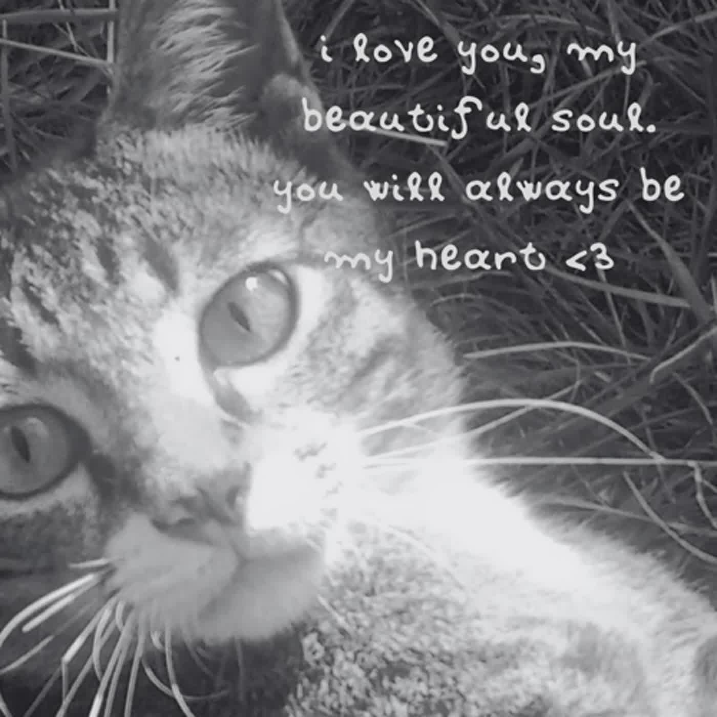 i love u my beautiful soul. u will always be my heart, dul. episode artwork