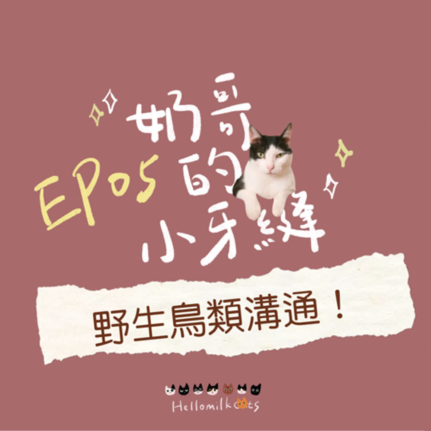 EP05｜野生鳥類動物溝通！麻雀居然有麻雀王😳