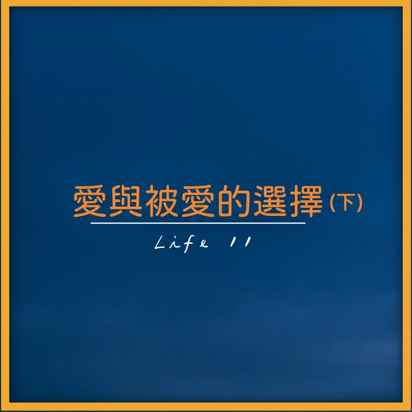 能櫞。思維解碼