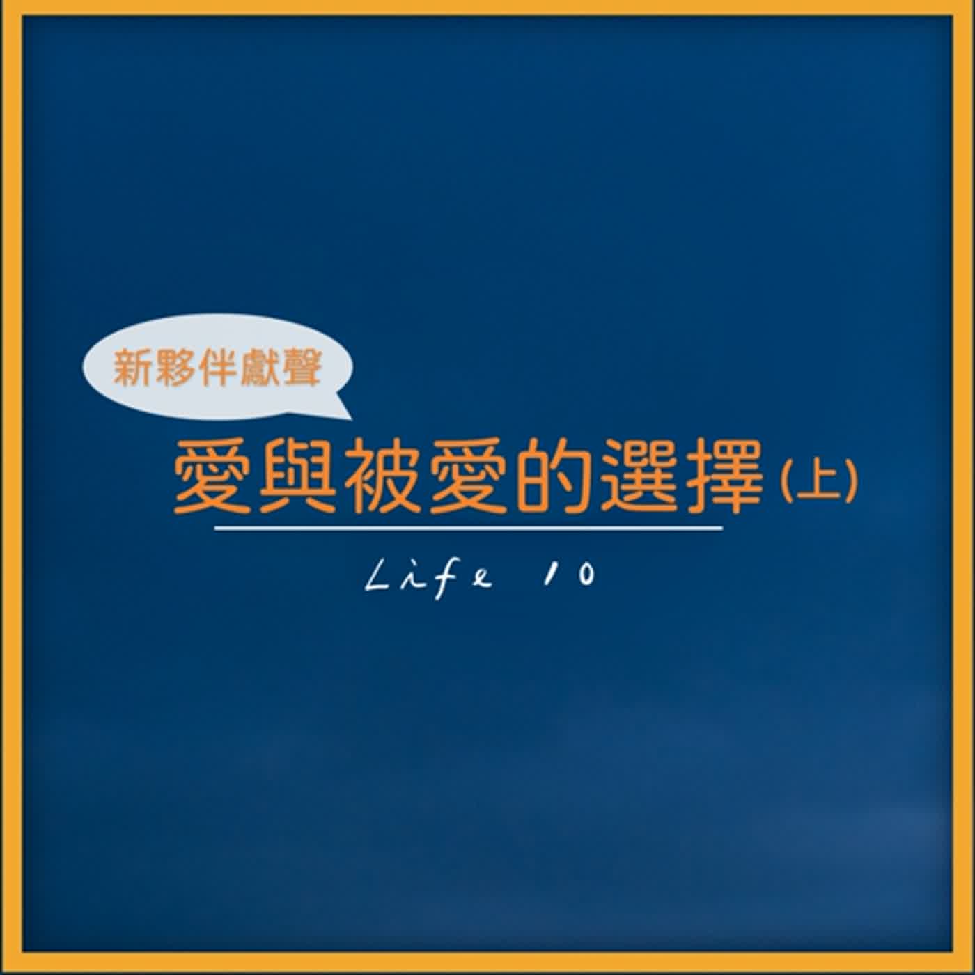 能櫞。思維解碼