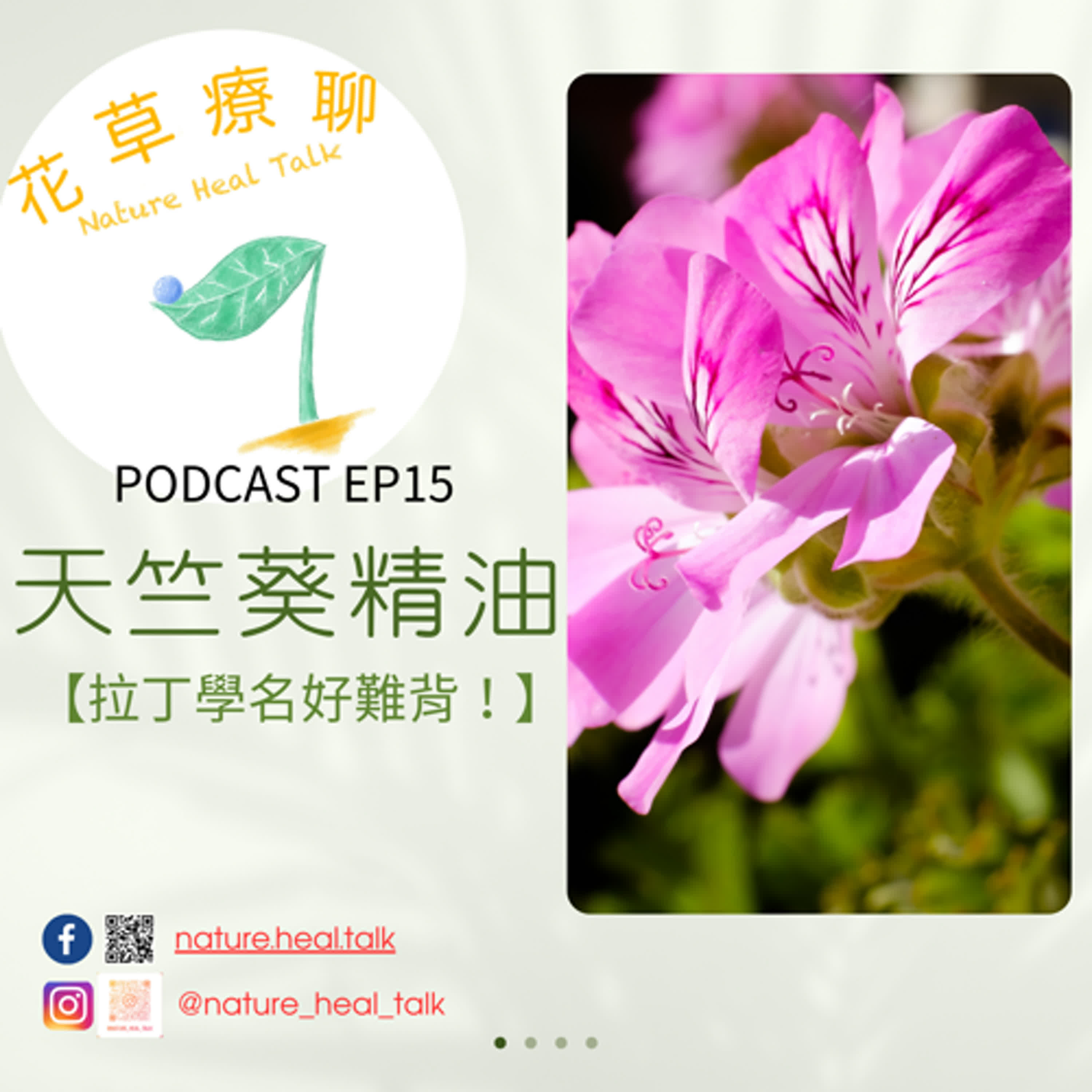 Ep15【拉丁學名好難背】「天竺葵」精油：來自葉片的玫瑰香，女性的好幫手，撫平焦慮，療癒情緒 episode artwork