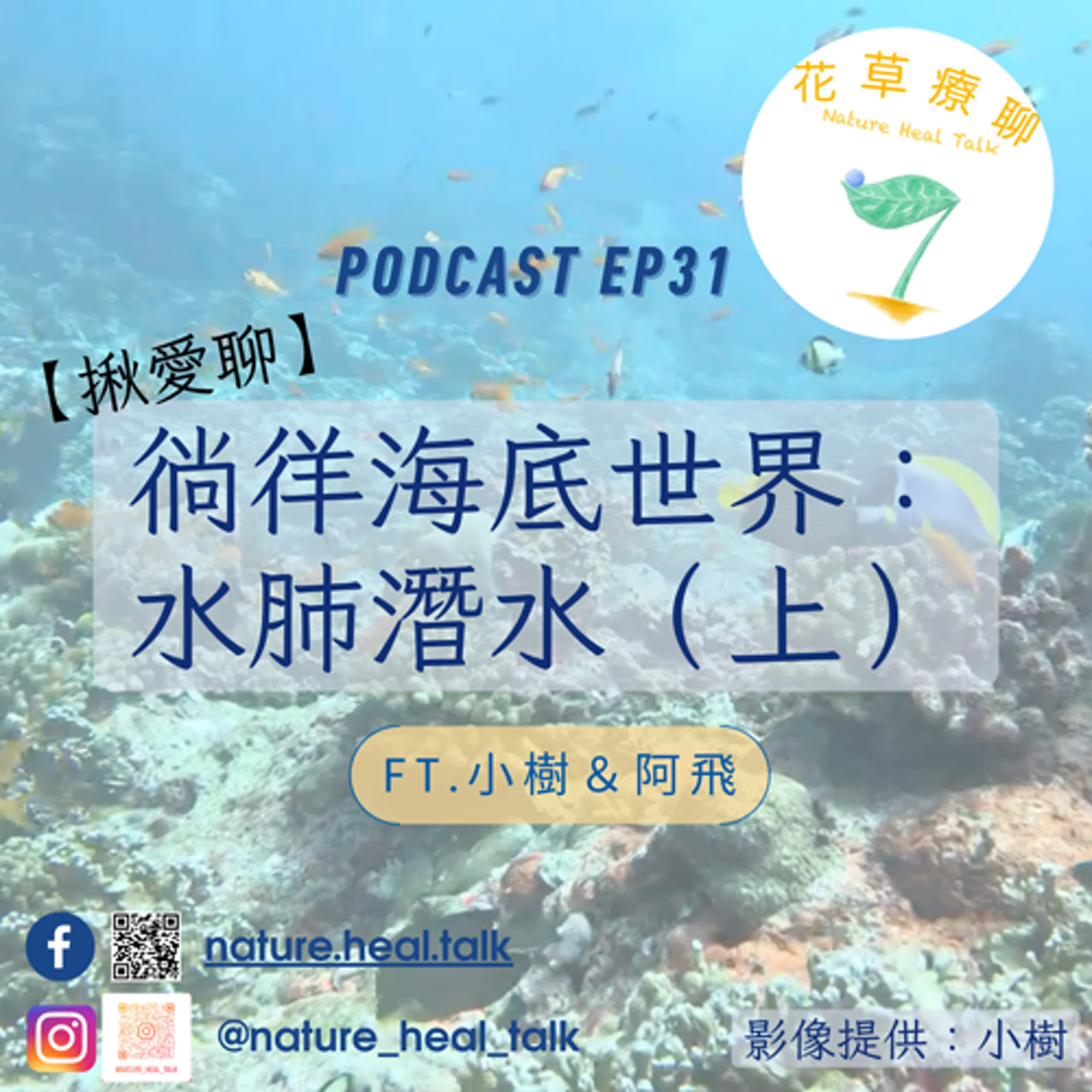 EP31 【揪愛聊】「徜徉海底世界：水肺潛水」（上）ft.小樹、阿飛～在水裡除了看魚還要算數學！水下千萬不要比讚！台灣大魚要去海產店看！？ episode artwork