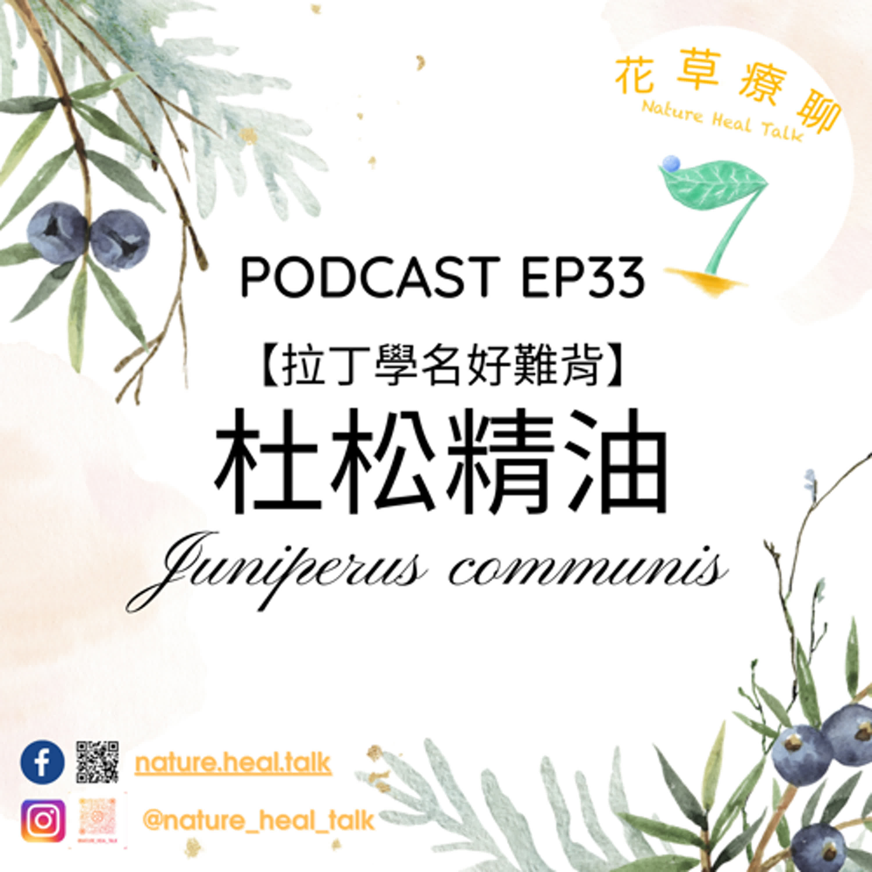 EP33【拉丁學名好難背】「杜松」精油：琴酒的靈魂香氣，排毒小幫手，空間淨化，穩定情緒～ episode artwork