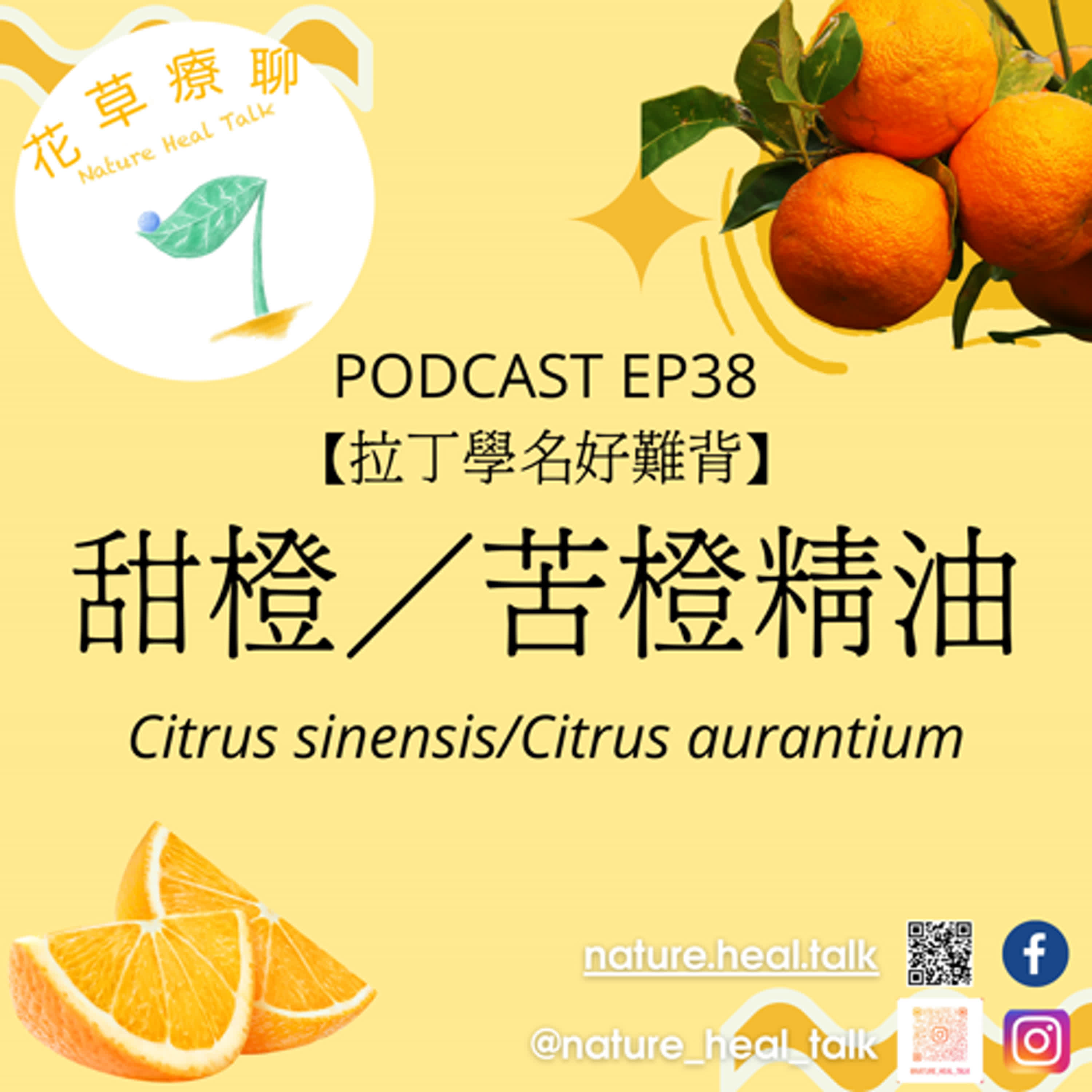 EP38【拉丁學名好難背】「甜橙＆苦橙」精油～大人小孩都愛的香甜氣味，兒童芳療常用精油，舒緩焦慮、振奮精神，緩解脹氣與不適 episode artwork