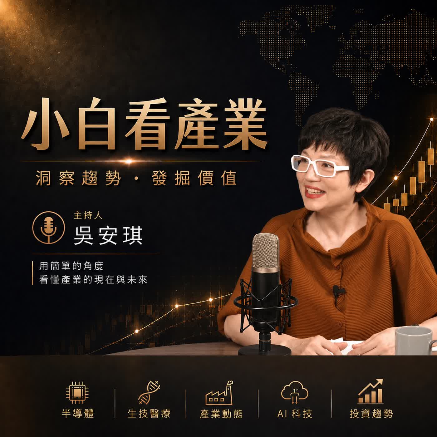 【小白看產業 EP8】#張錫 再點名：331檔璞玉股挖潛力！非AI股的黑馬有這些！工業電腦、傳產誰有機會起飛？多頭總司令 退休投資布局大公開！