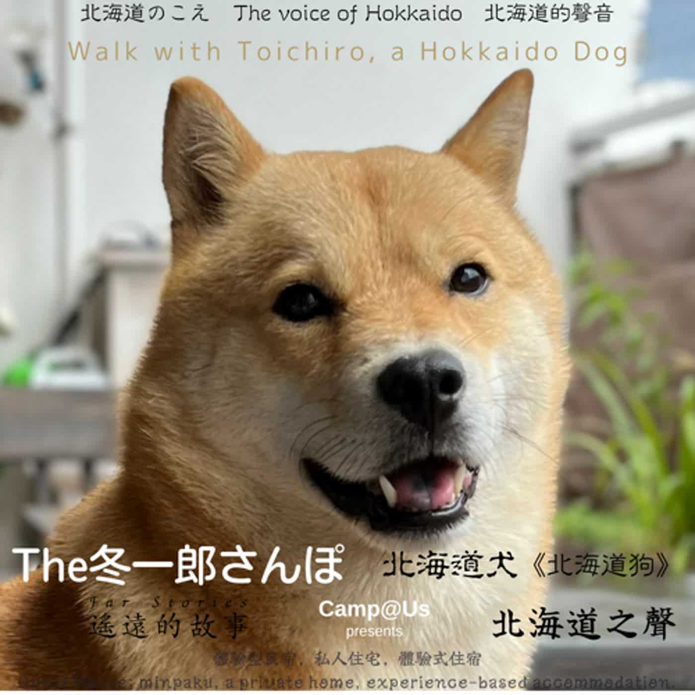 The 冬一郎さんぽ #10 　北海道犬《北海道狗》 北海道之聲