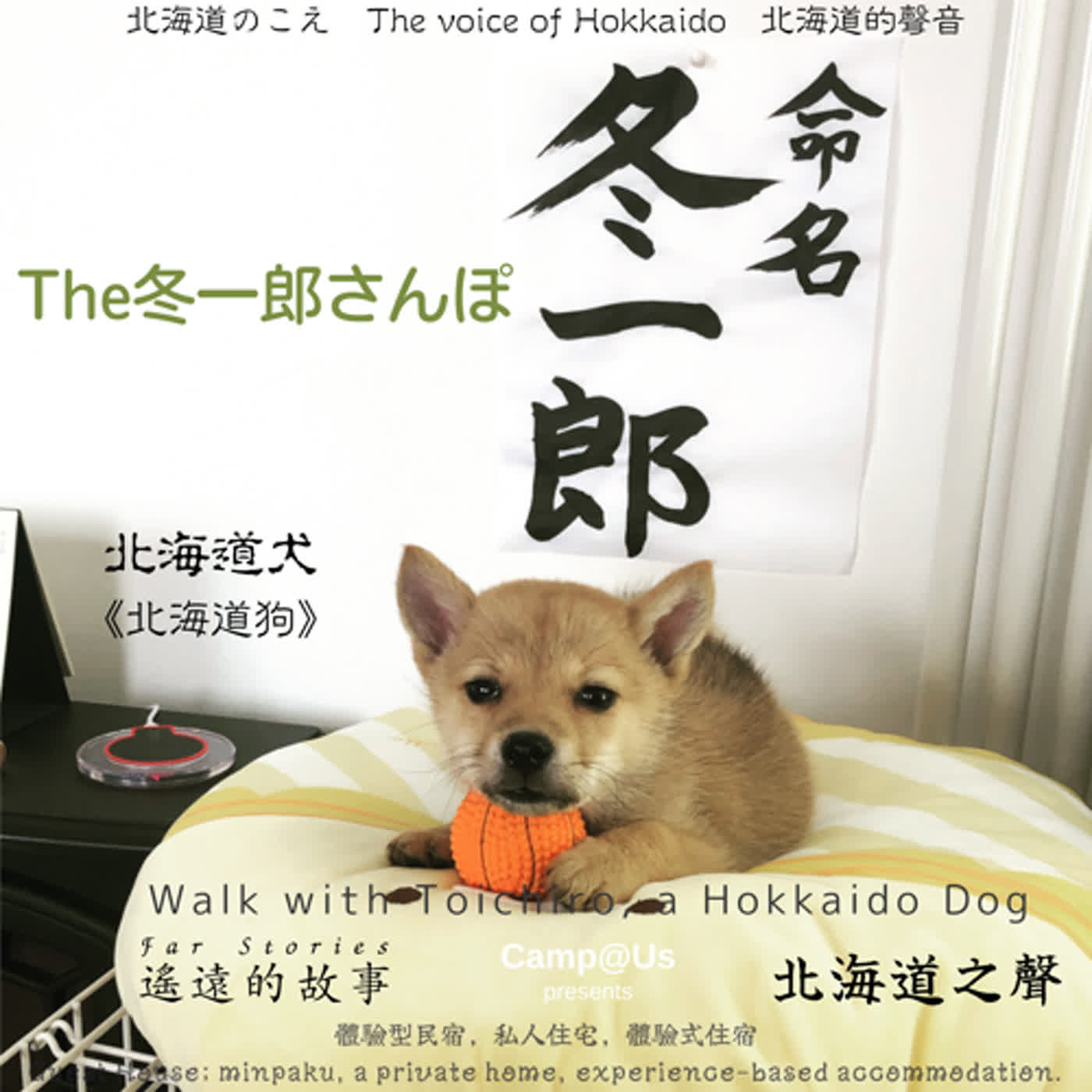 The 冬一郎さんぽ #6 　北海道犬《北海道狗》 北海道之聲