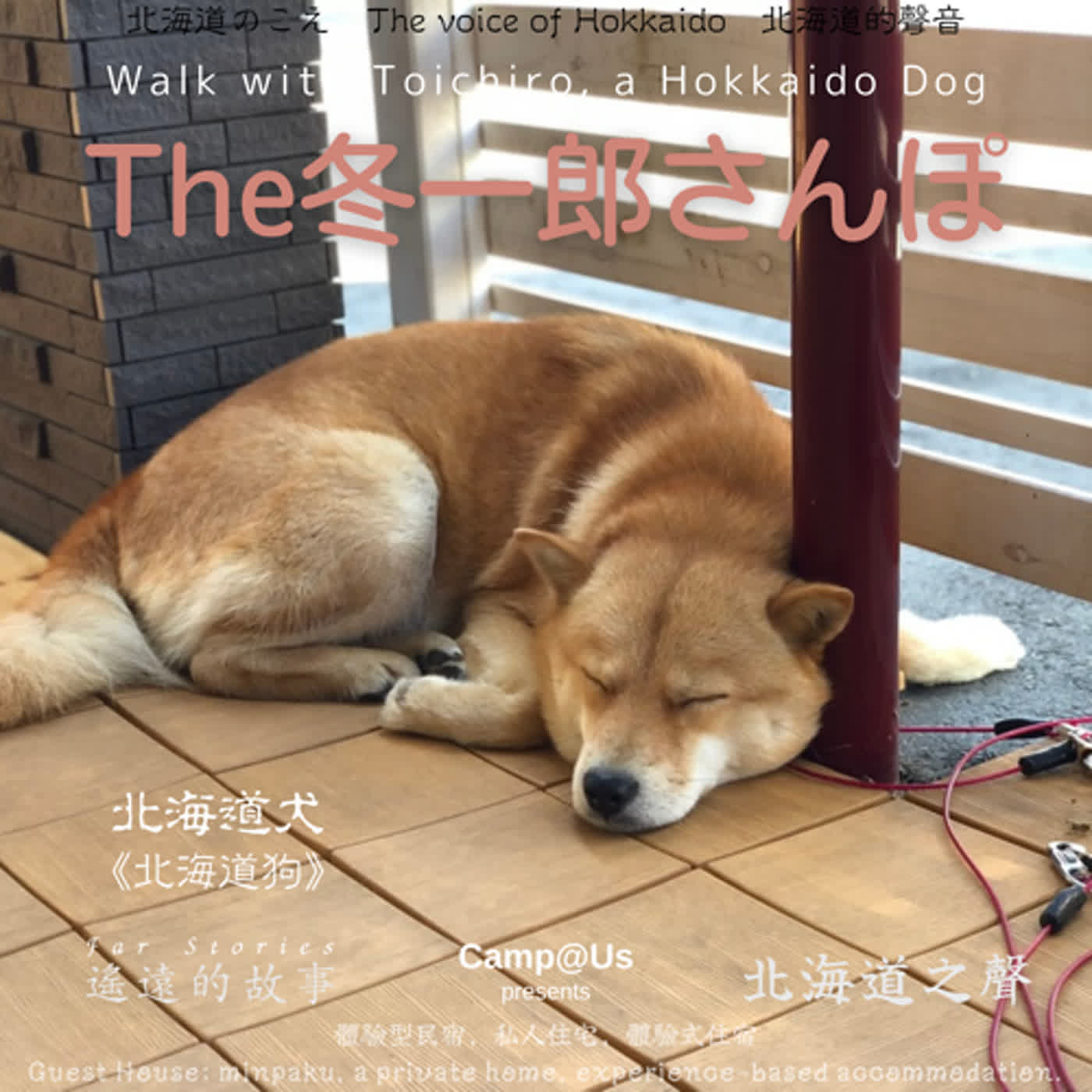 The 冬一郎さんぽ #36 　北海道犬《北海道狗》 北海道之聲