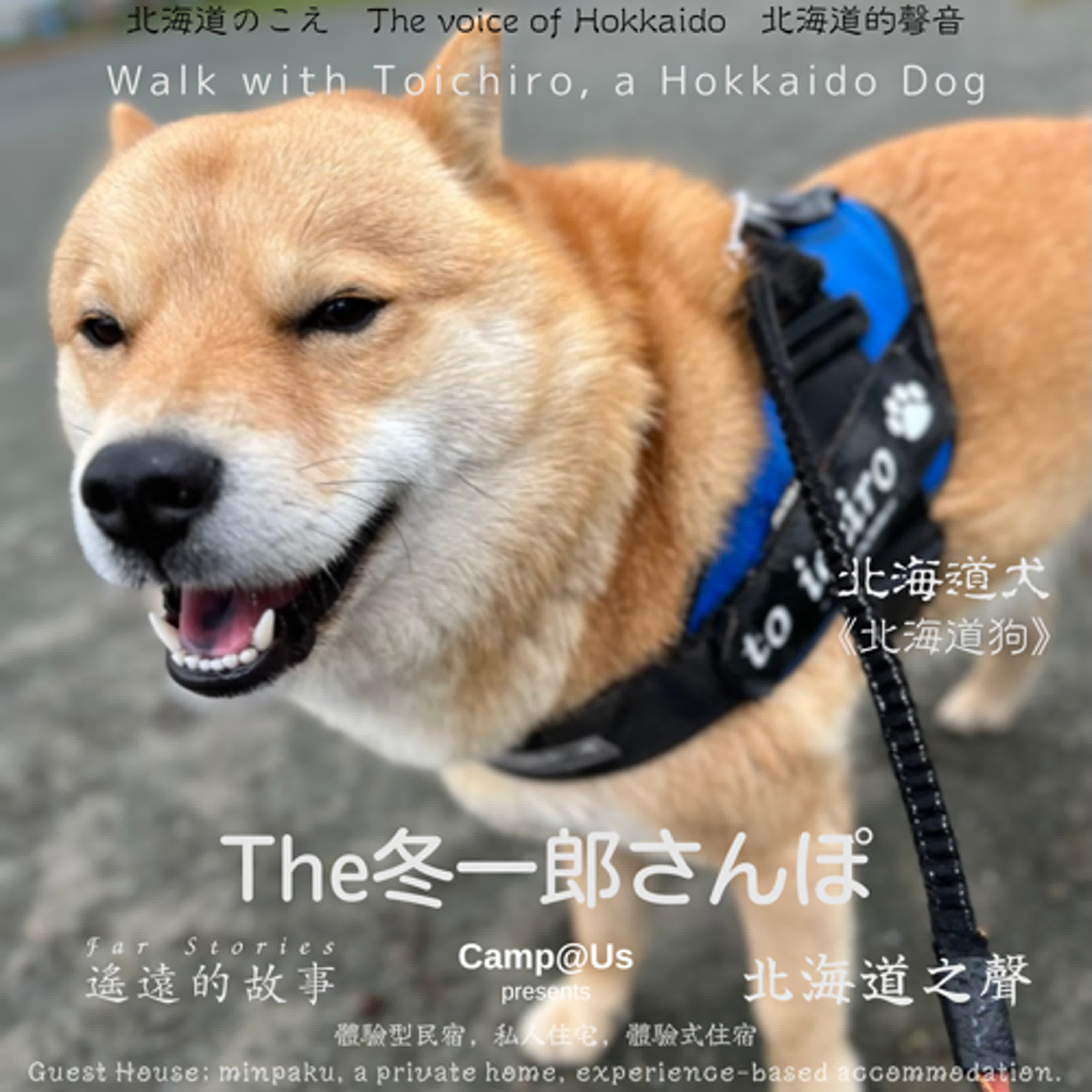 The 冬一郎さんぽ #58 　北海道犬《北海道狗》 北海道之聲