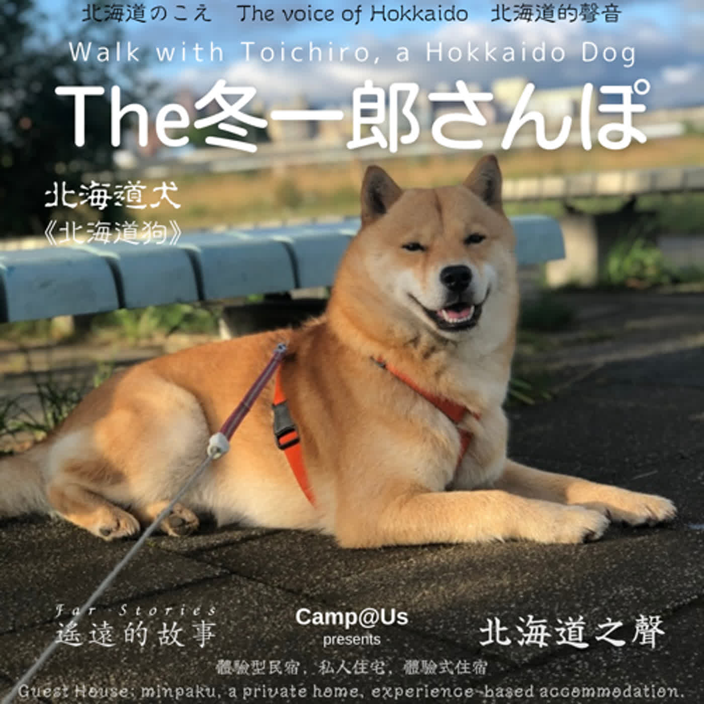 The 冬一郎さんぽ #38 　北海道犬《北海道狗》 北海道之聲