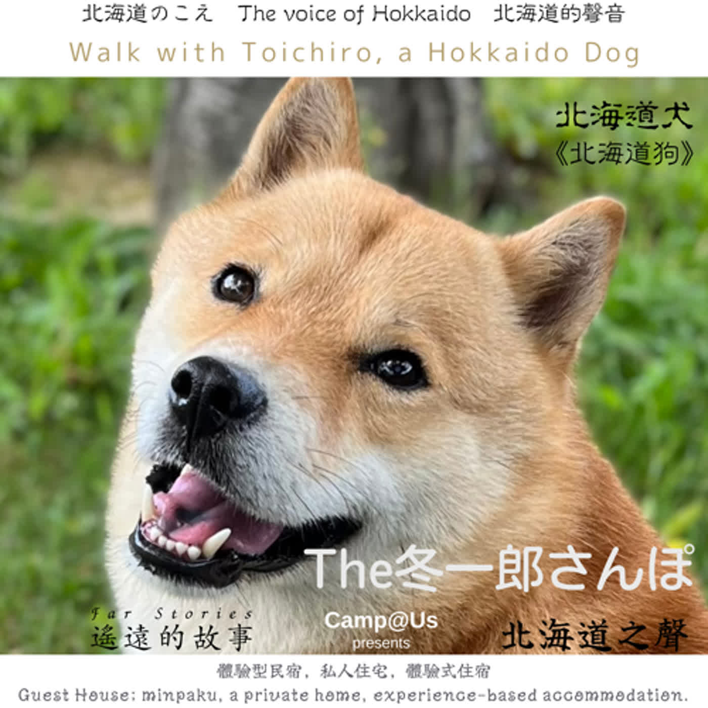 The 冬一郎さんぽ #13 　北海道犬《北海道狗》 北海道之聲