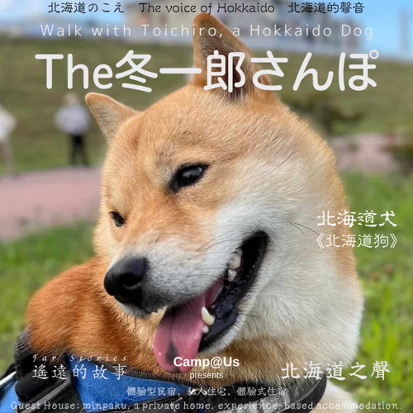The 冬一郎さんぽ #28 　北海道犬《北海道狗》 北海道之聲