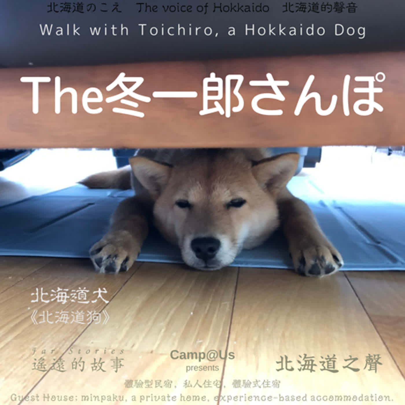 The 冬一郎さんぽ #21 　北海道犬《北海道狗》 北海道之聲