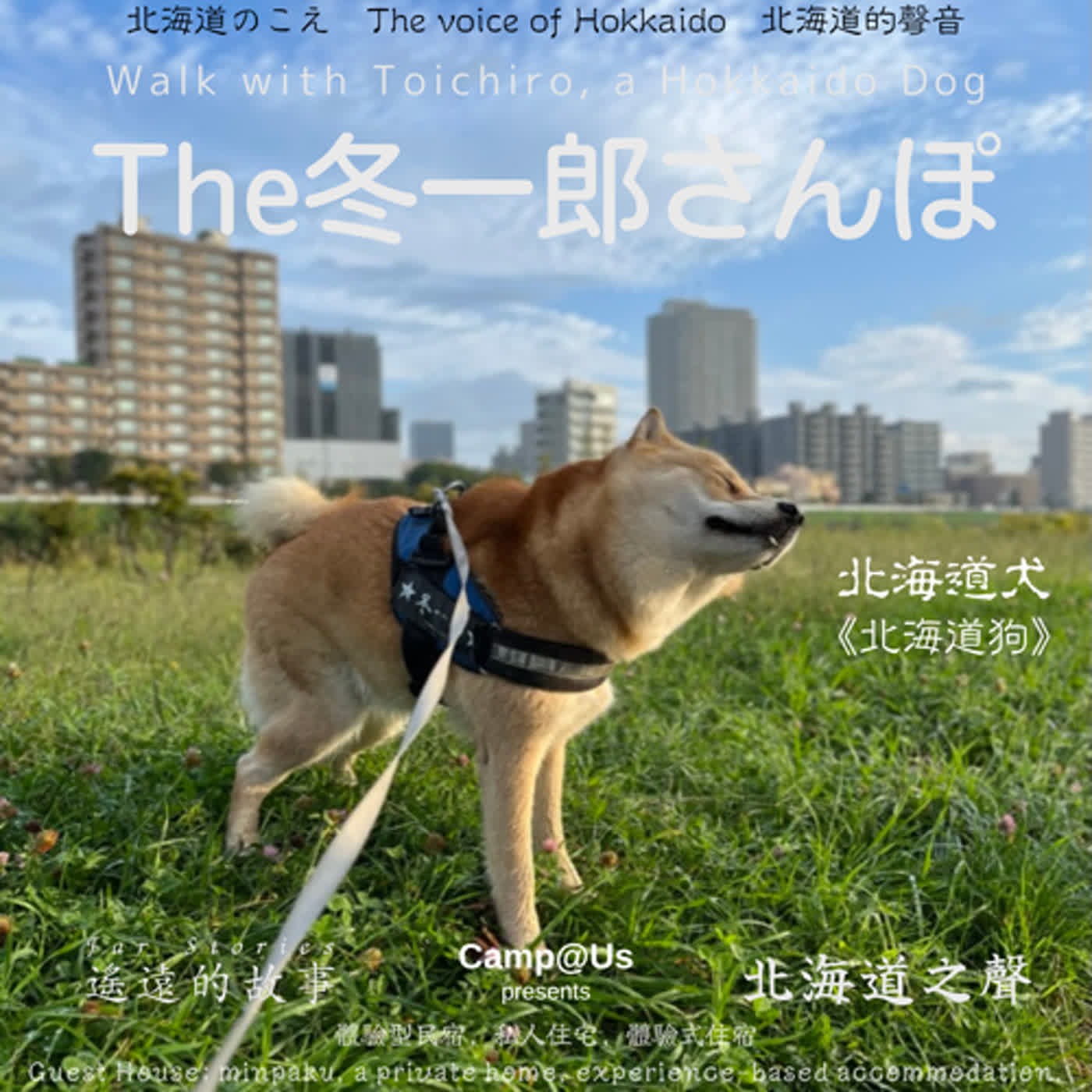 The 冬一郎さんぽ #52 　北海道犬《北海道狗》 北海道之聲
