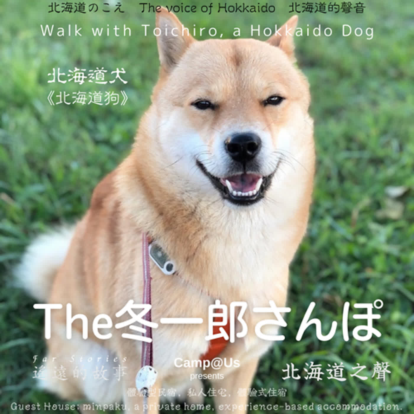 The 冬一郎さんぽ #43 　北海道犬《北海道狗》 北海道之聲