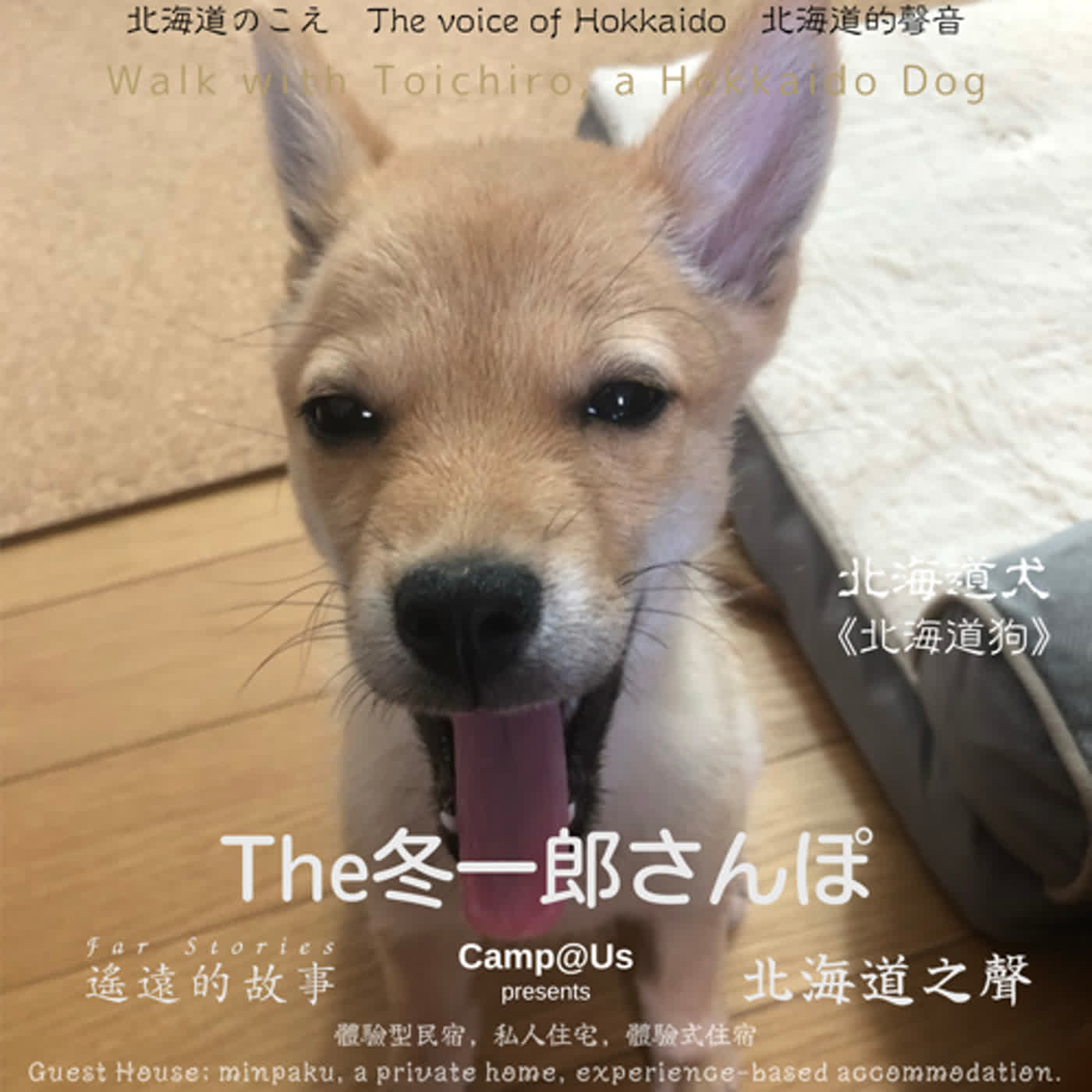 The 冬一郎さんぽ #24 　北海道犬《北海道狗》 北海道之聲