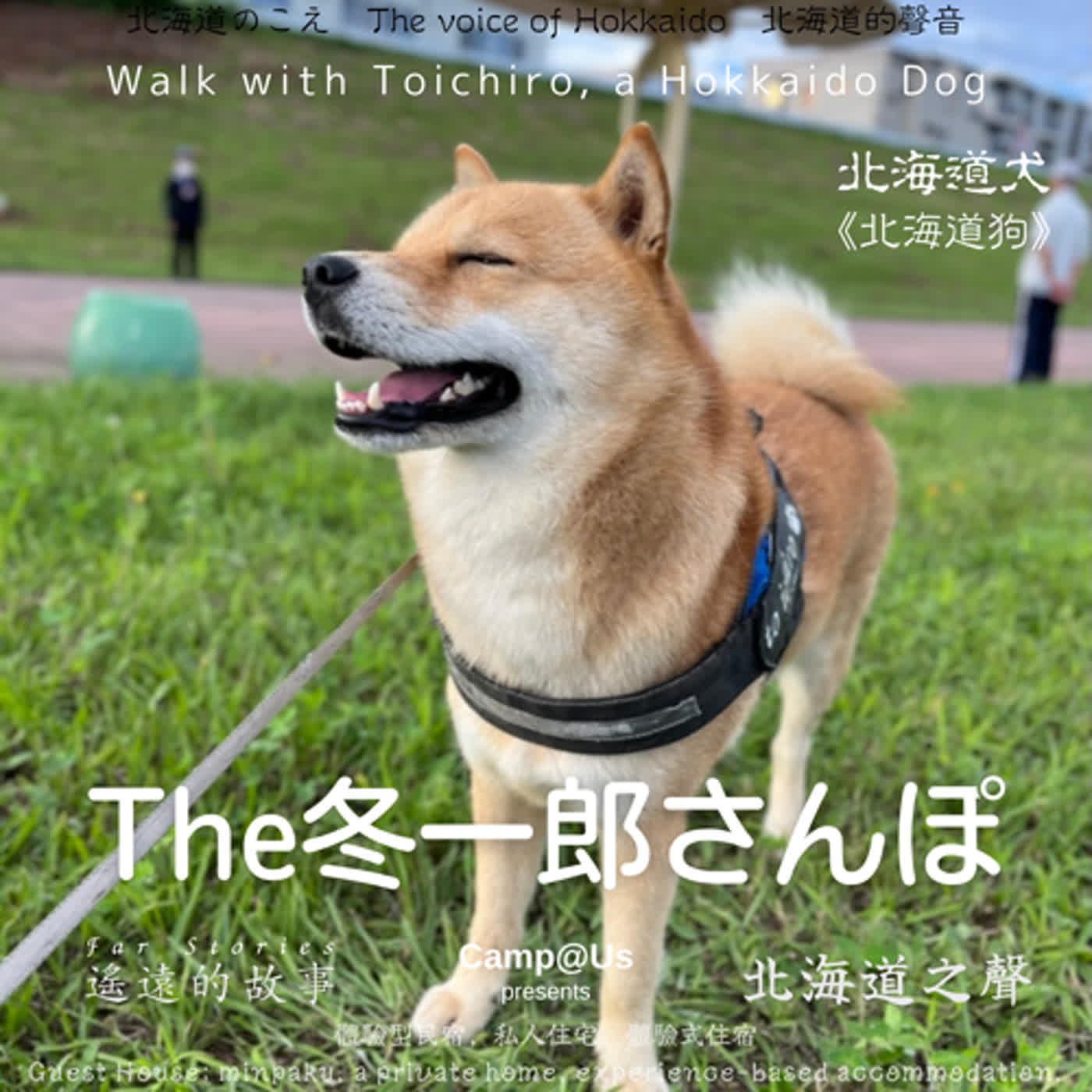 The 冬一郎さんぽ #31 　北海道犬《北海道狗》 北海道之聲