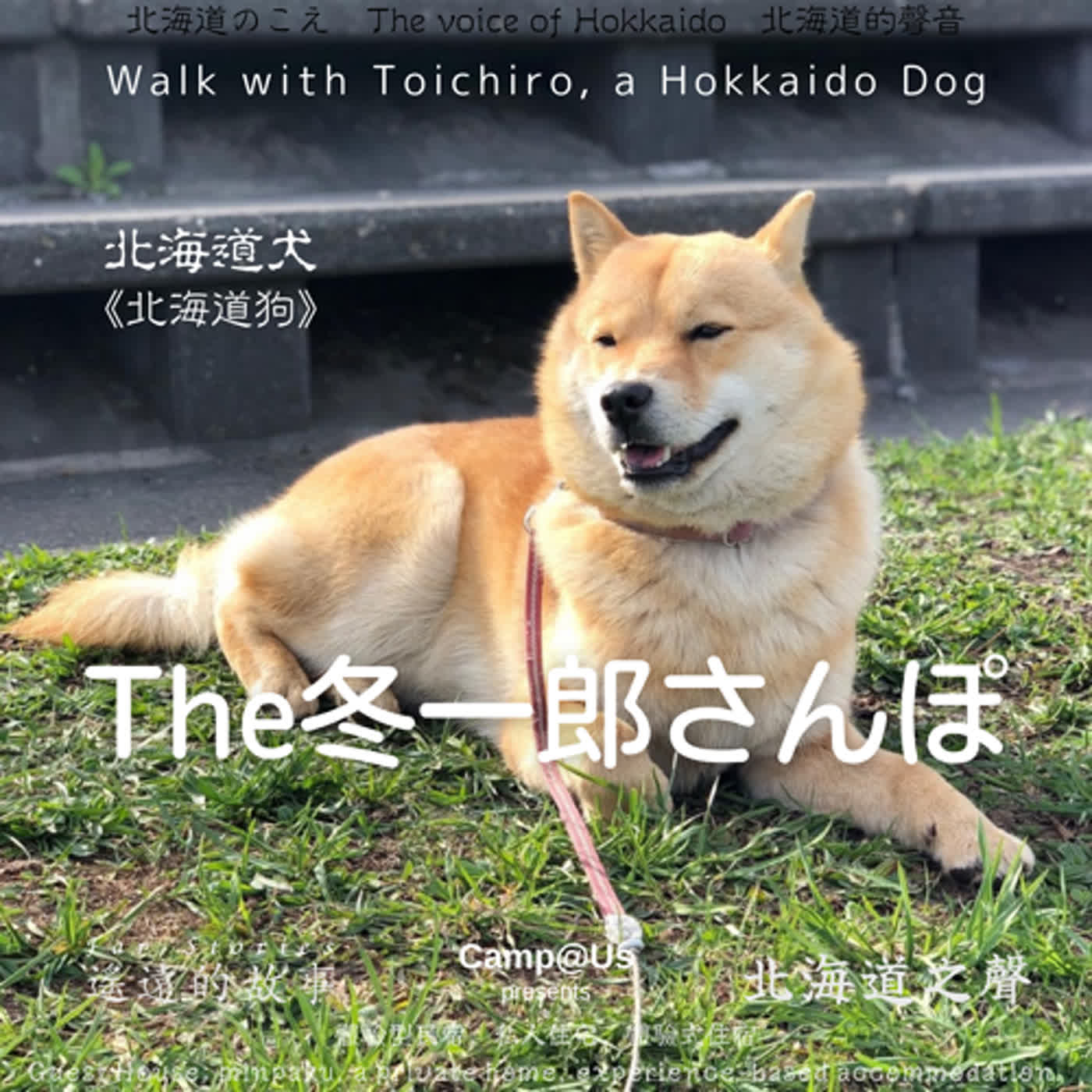 The 冬一郎さんぽ #33 　北海道犬《北海道狗》 北海道之聲