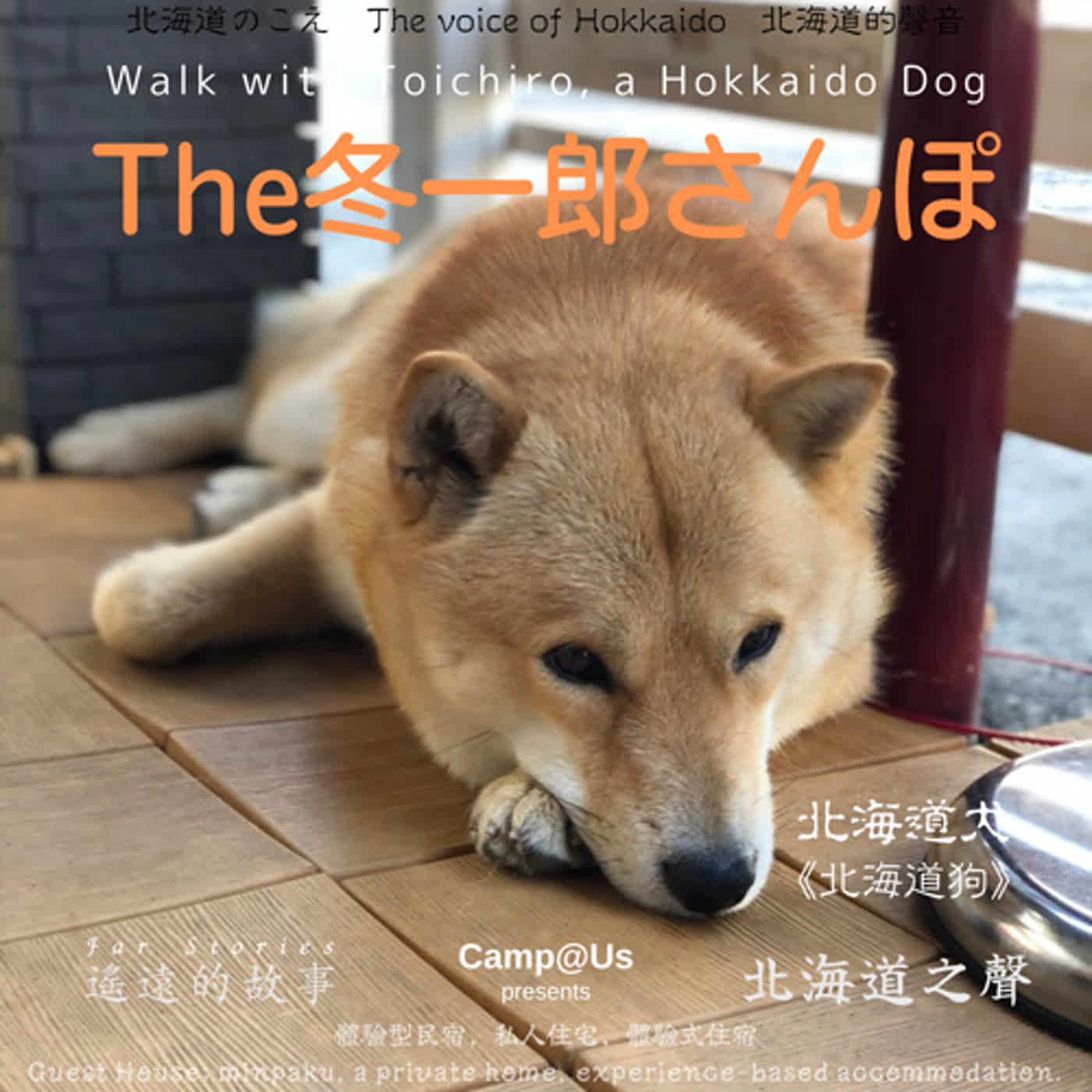 The 冬一郎さんぽ #45 　北海道犬《北海道狗》 北海道之聲