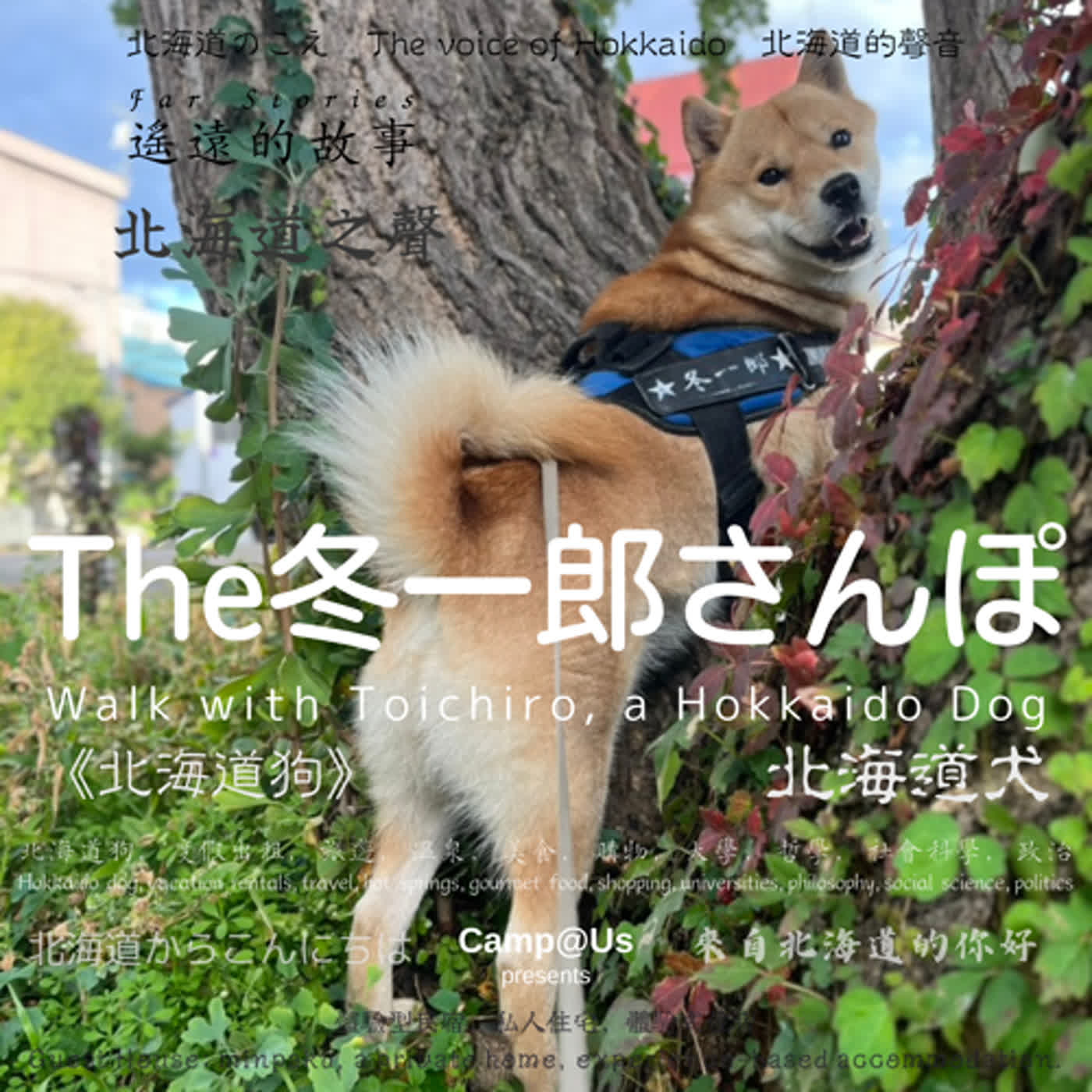 The 冬一郎さんぽ #11 　北海道犬《北海道狗》 北海道之聲