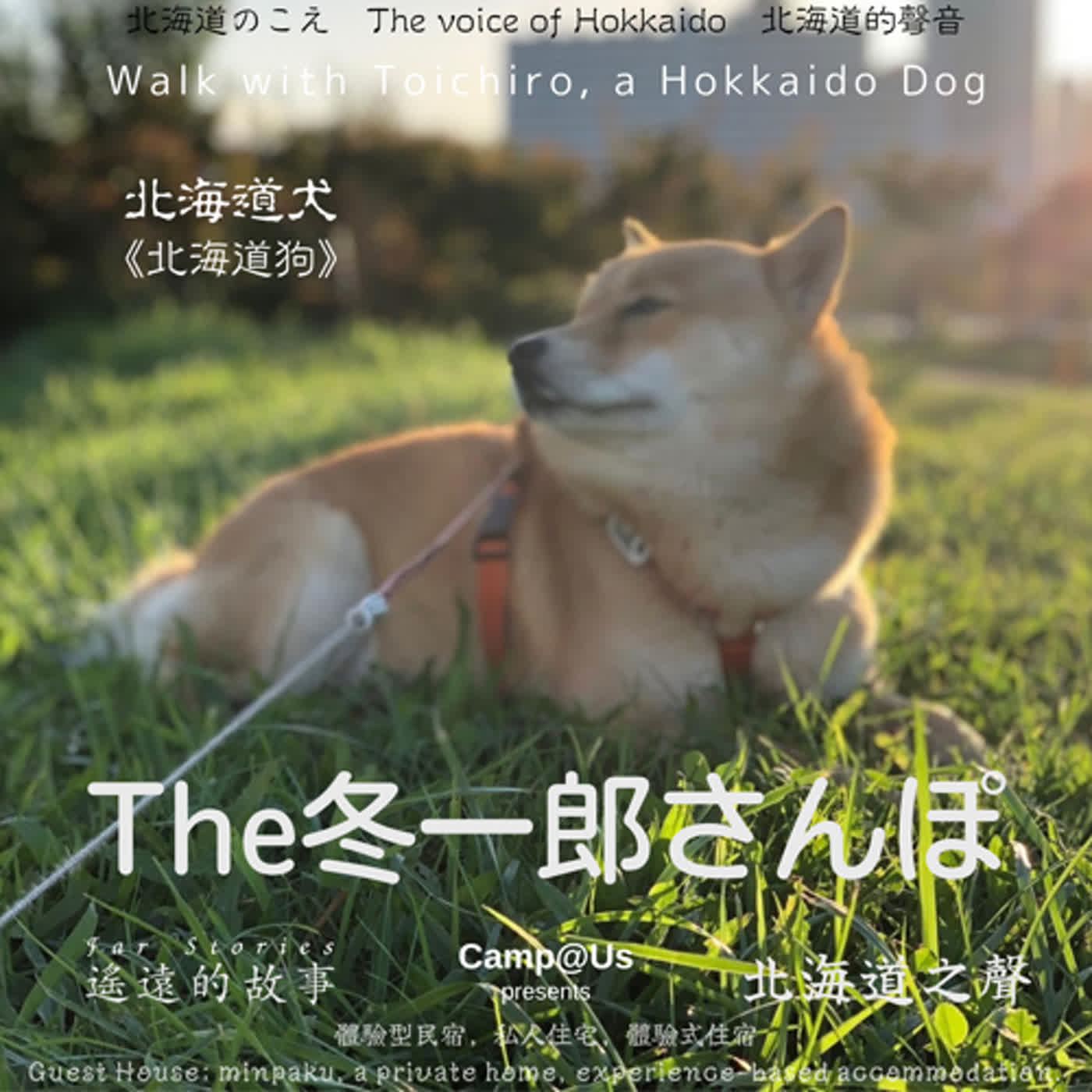 The 冬一郎さんぽ #44 　北海道犬《北海道狗》 北海道之聲