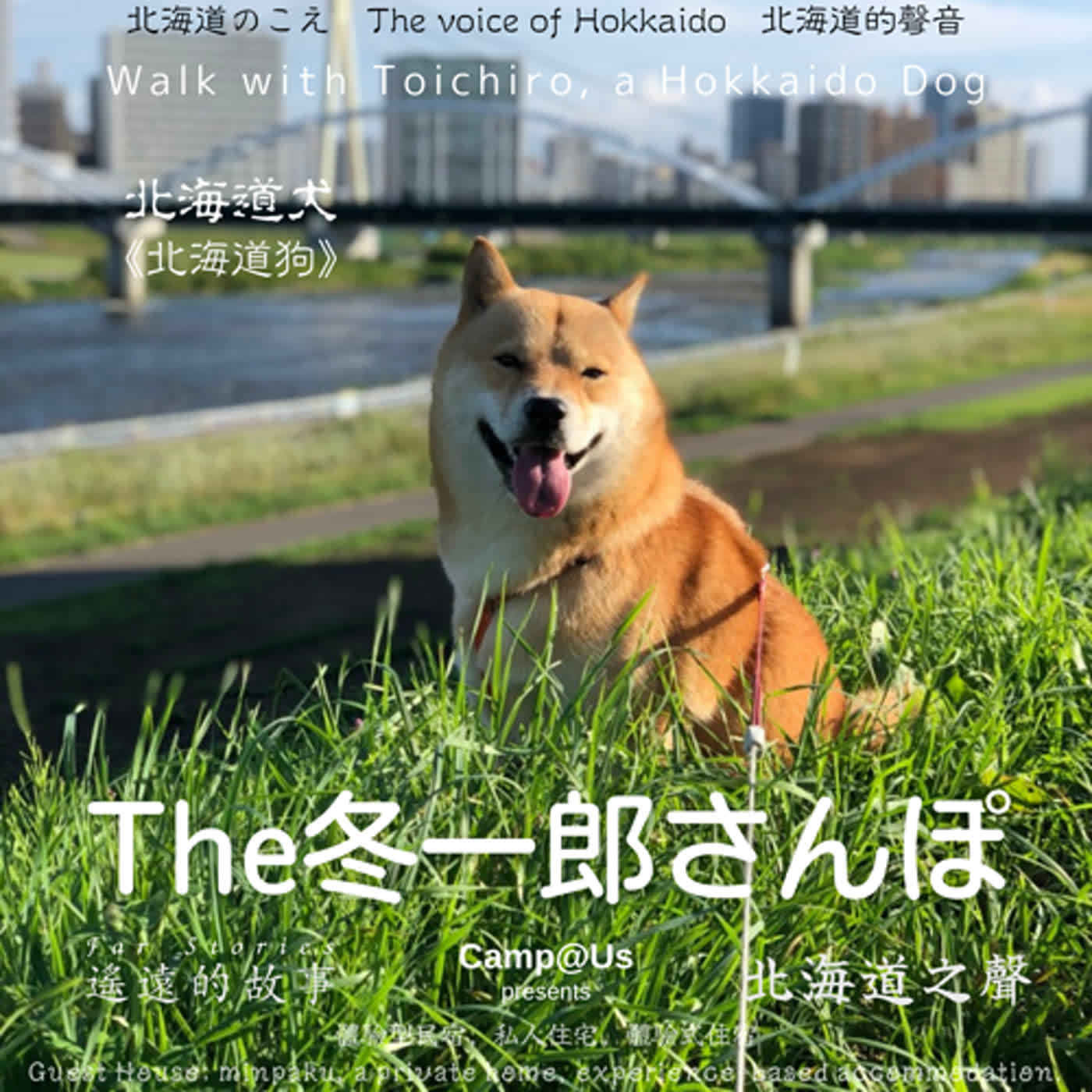 The 冬一郎さんぽ #41 　北海道犬《北海道狗》 北海道之聲