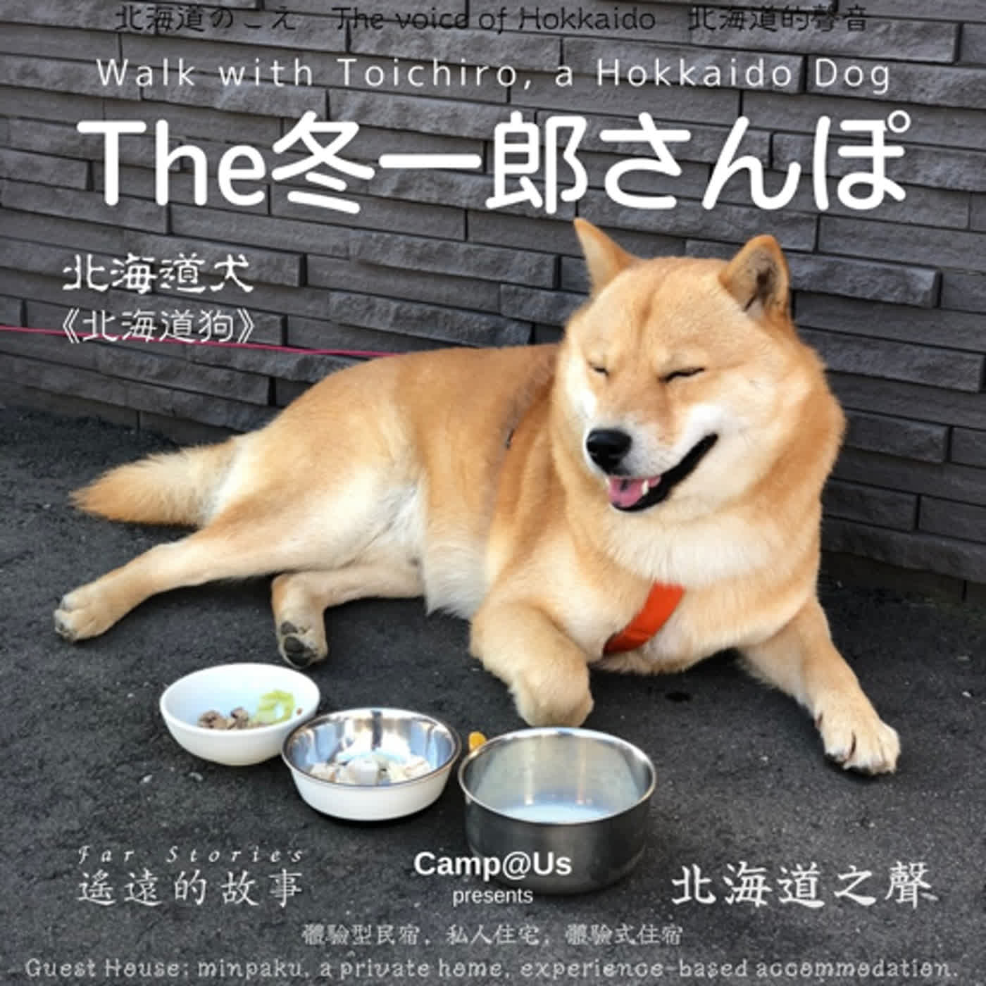 The 冬一郎さんぽ #39 　北海道犬《北海道狗》 北海道之聲