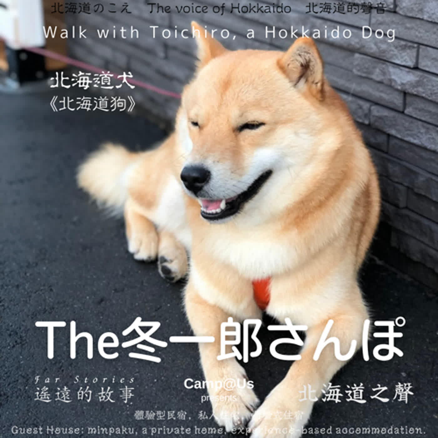 The 冬一郎さんぽ #42 　北海道犬《北海道狗》 北海道之聲