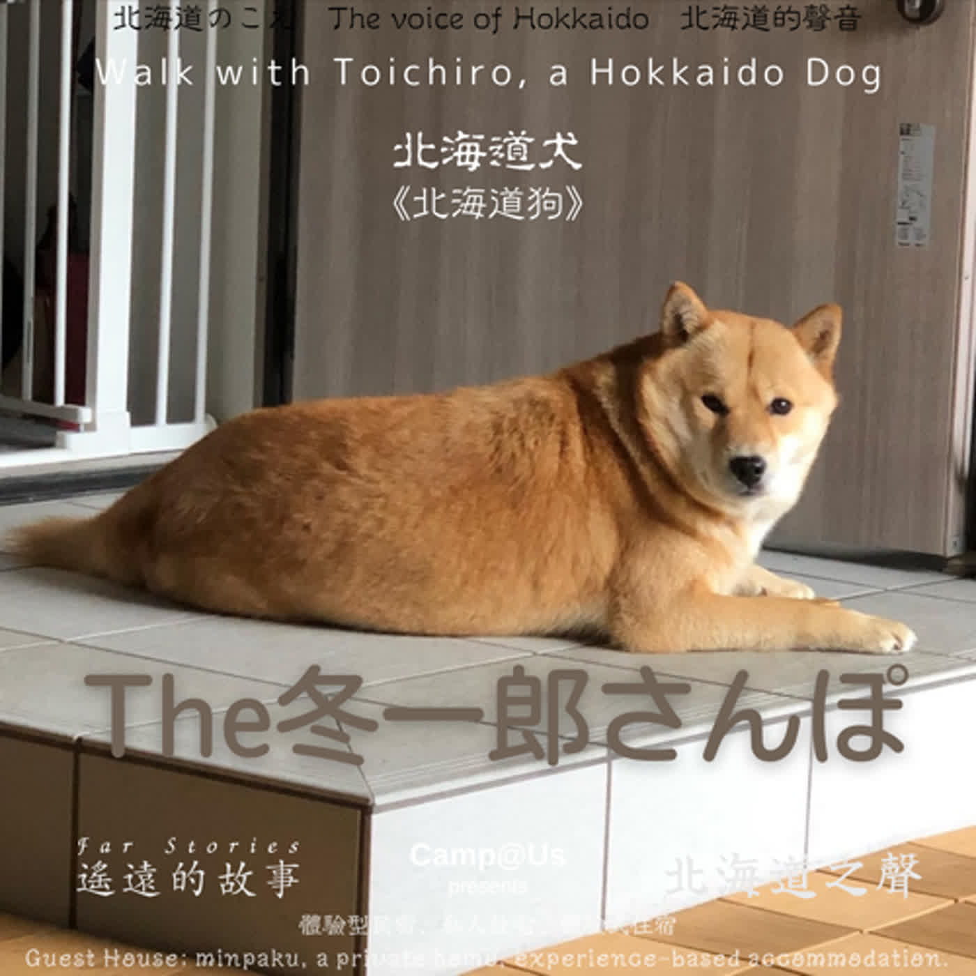 The 冬一郎さんぽ #37 　北海道犬《北海道狗》 北海道之聲