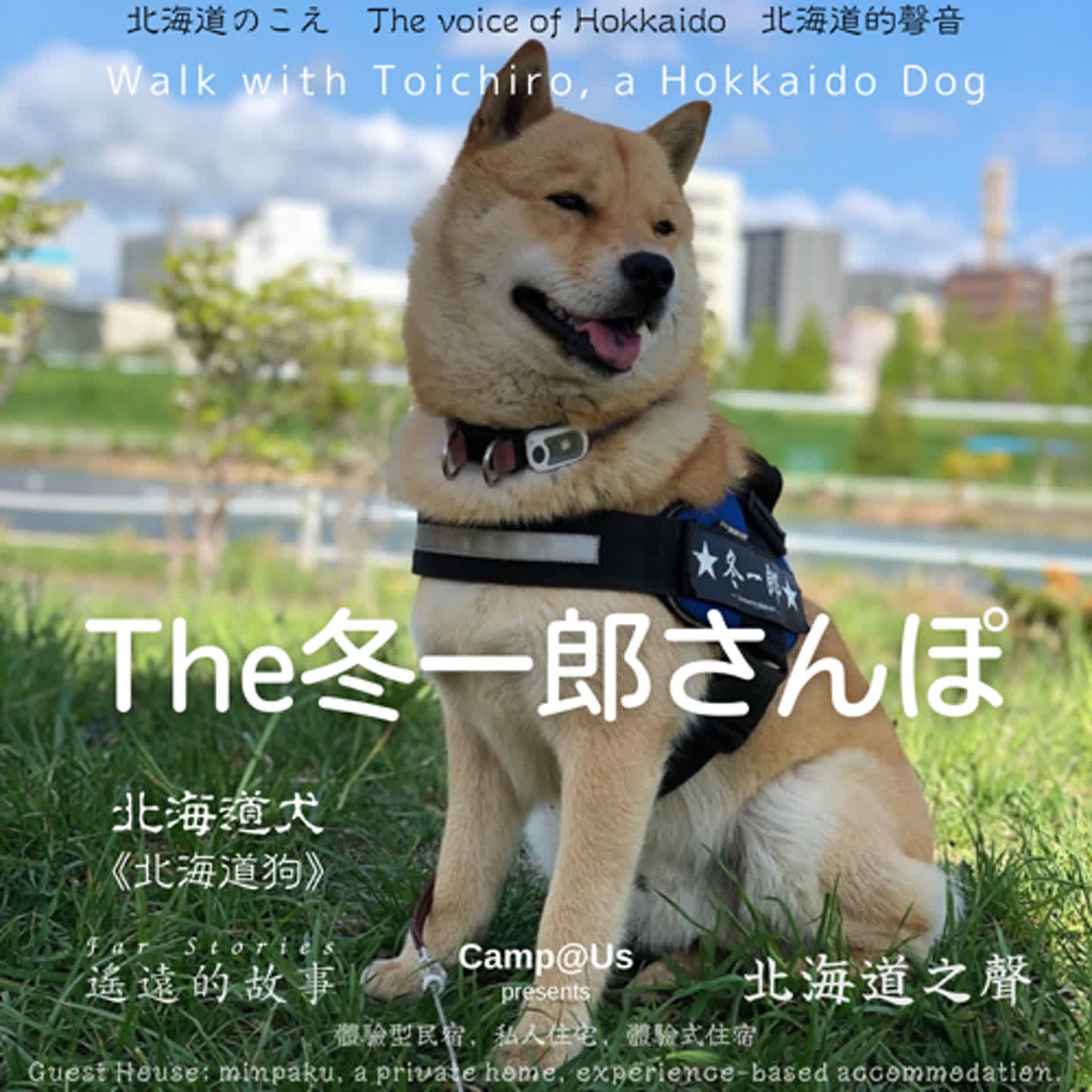 The 冬一郎さんぽ #35 　北海道犬《北海道狗》 北海道之聲