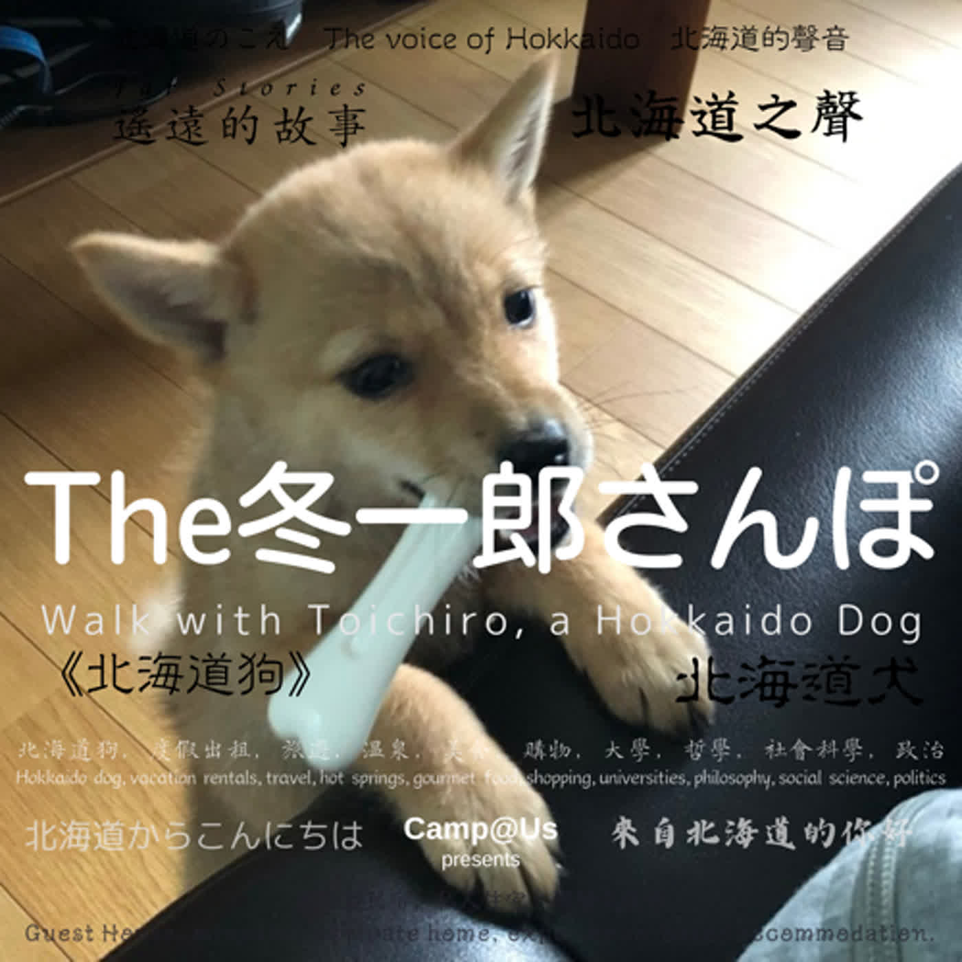 The 冬一郎さんぽ #8 　北海道犬《北海道狗》 北海道之聲
