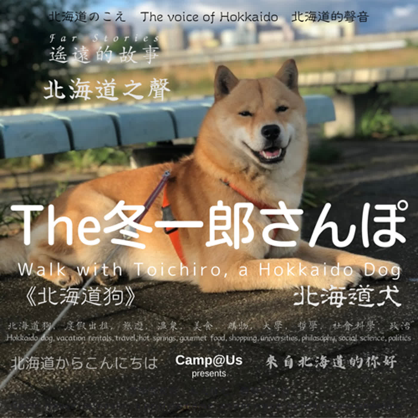The 冬一郎さんぽ #16 　北海道犬《北海道狗》 北海道之聲